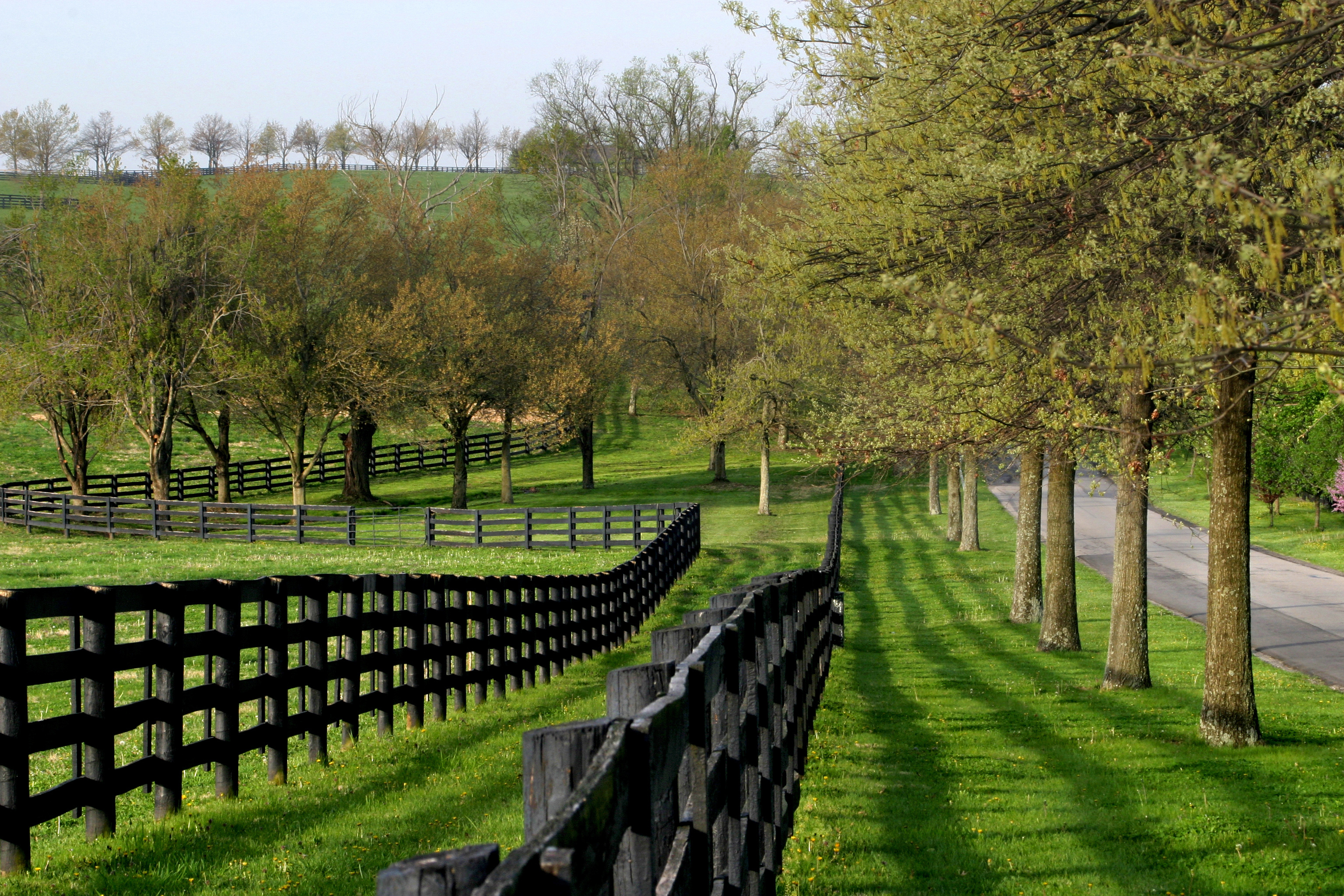 What is OIO consent and do I need it?