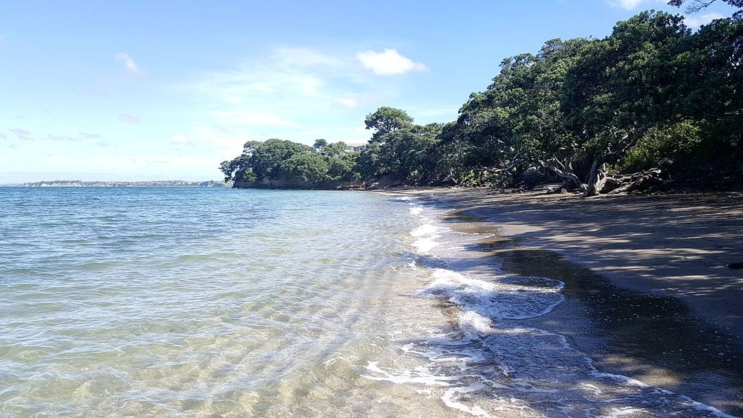 How To Get Residency In New Zealand