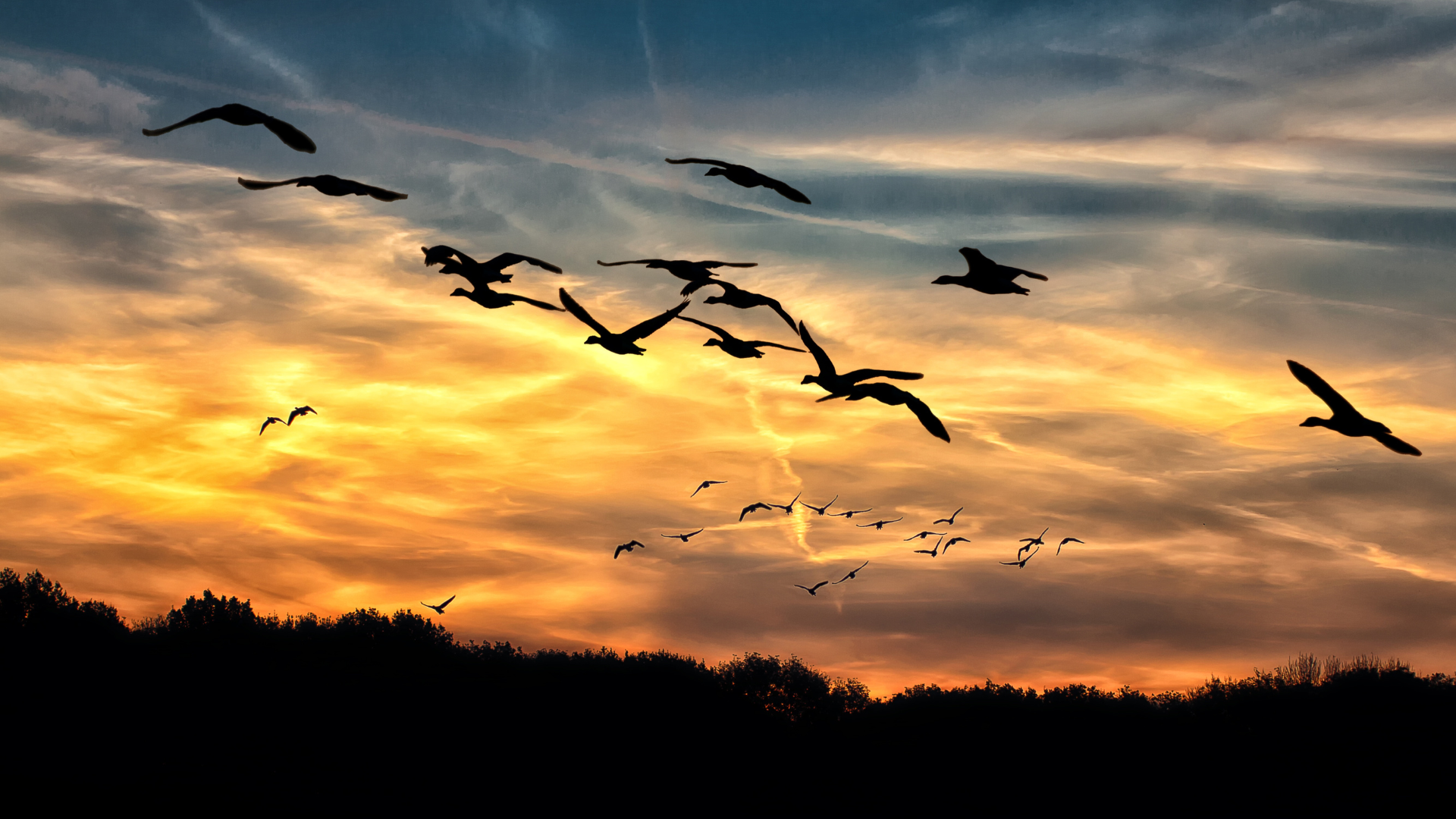 Golden Visa Update: Our Managing Director Featured in The Guardian