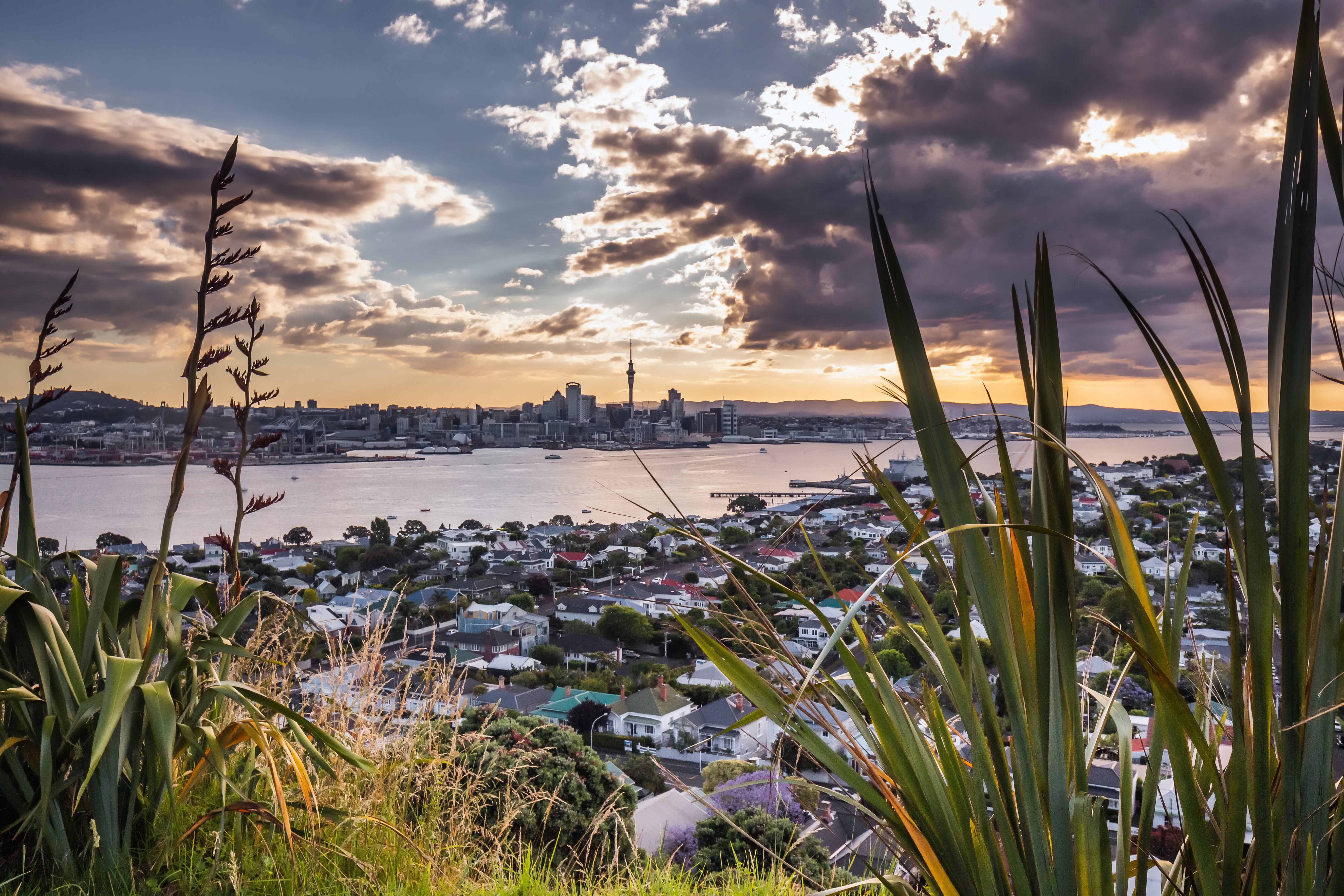 Golden Visa Surge vs. Foreign Buyer Ban: Is New Zealand Sending Mixed Signals?