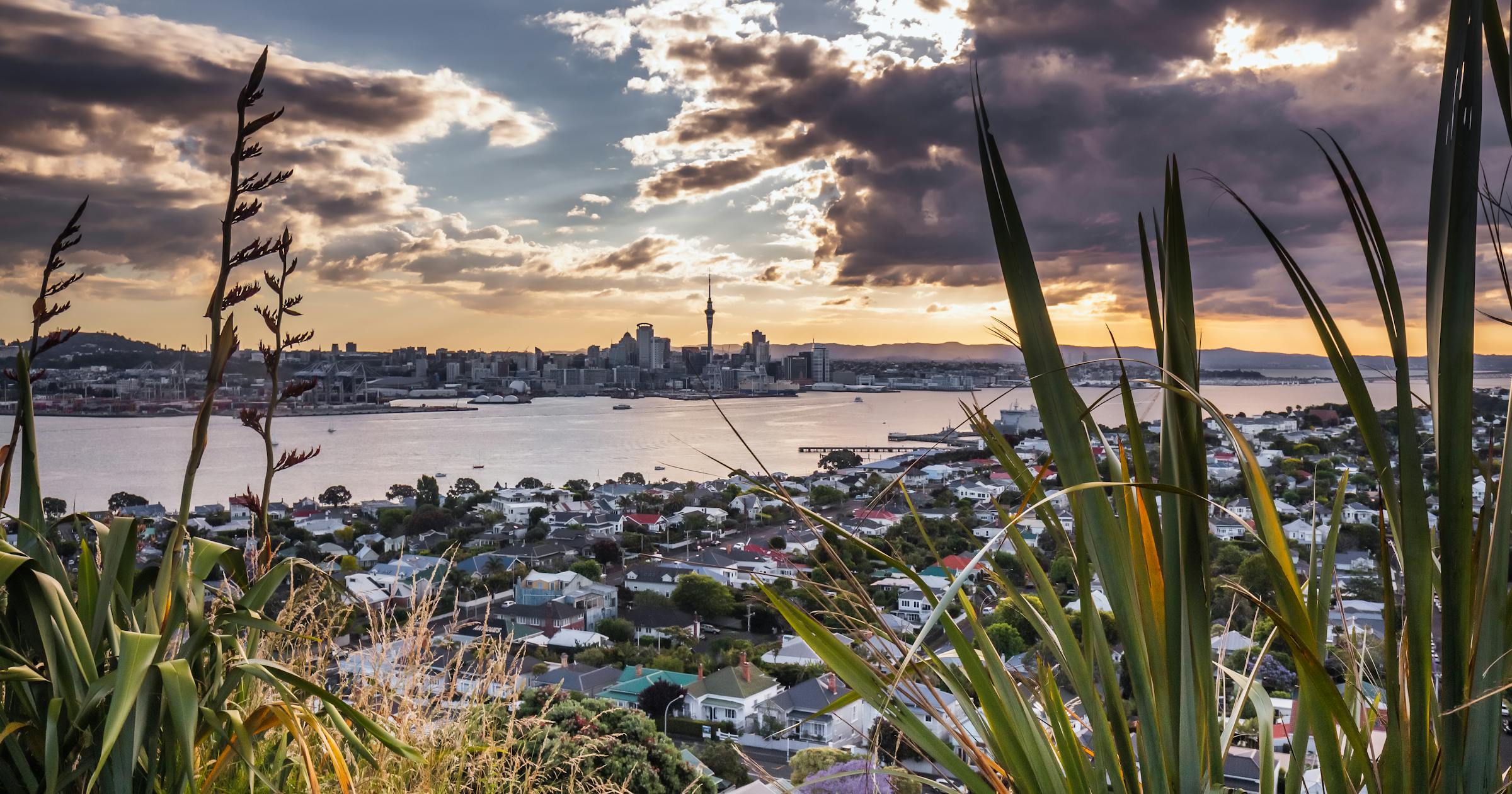 Golden Visa Surge vs. Foreign Buyer Ban: Is New Zealand Sending Mixed Signals?