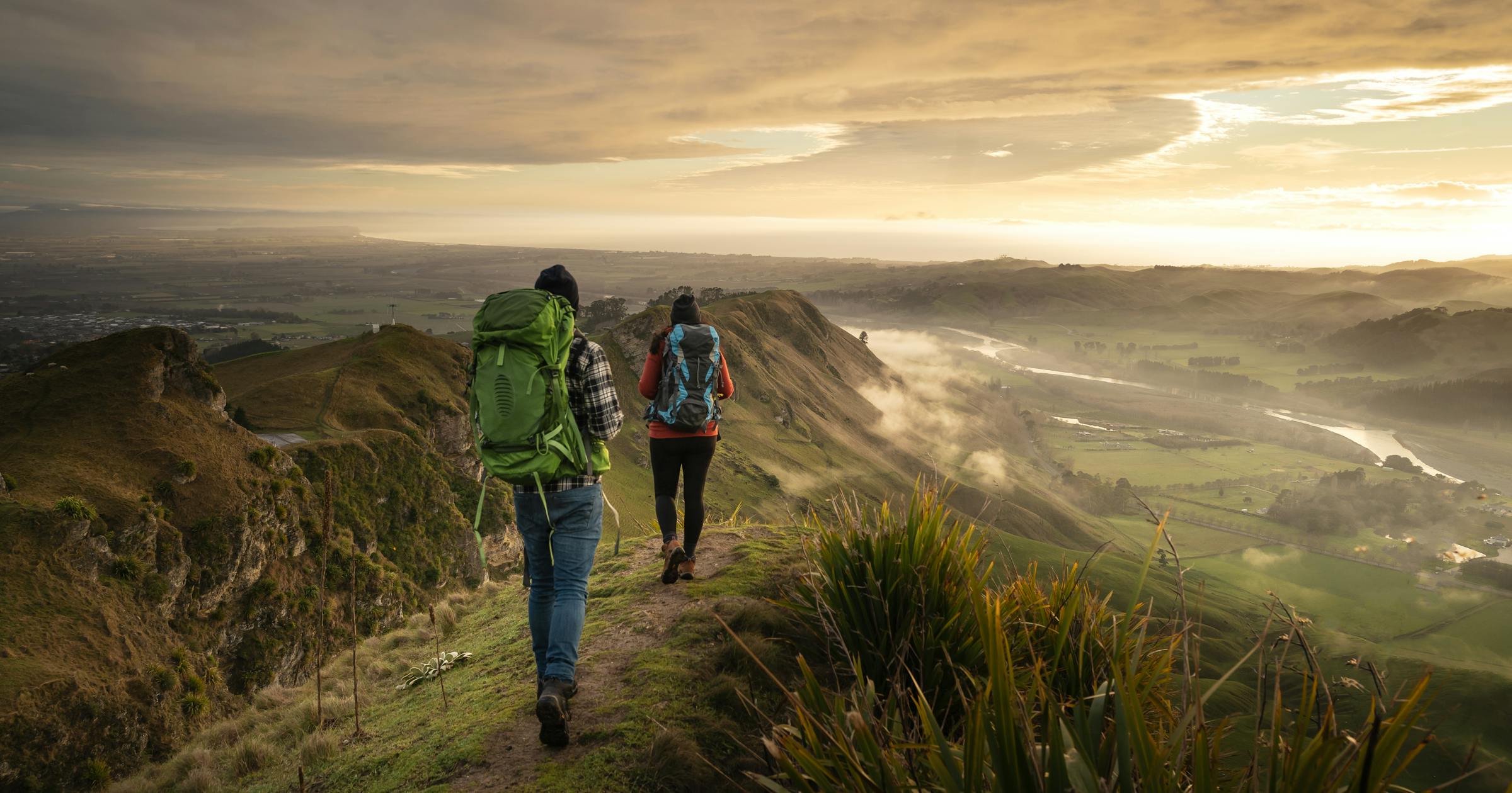 Evaluating New Zealand’s Investor Visa Programs: A Comparative Analysis