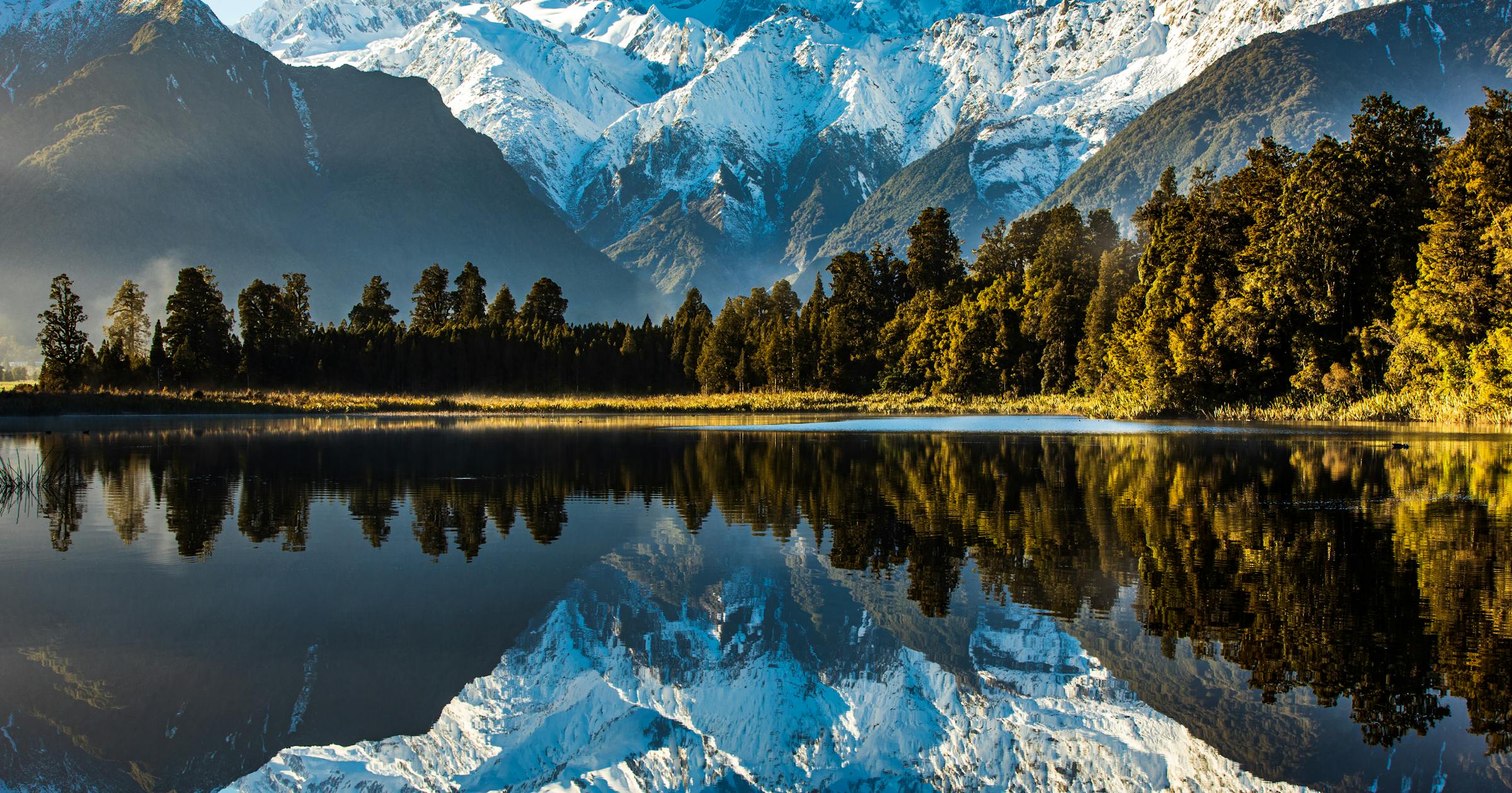 Immigration Amendment Bill 2025: Key Changes Coming to NZ Immigration Law
