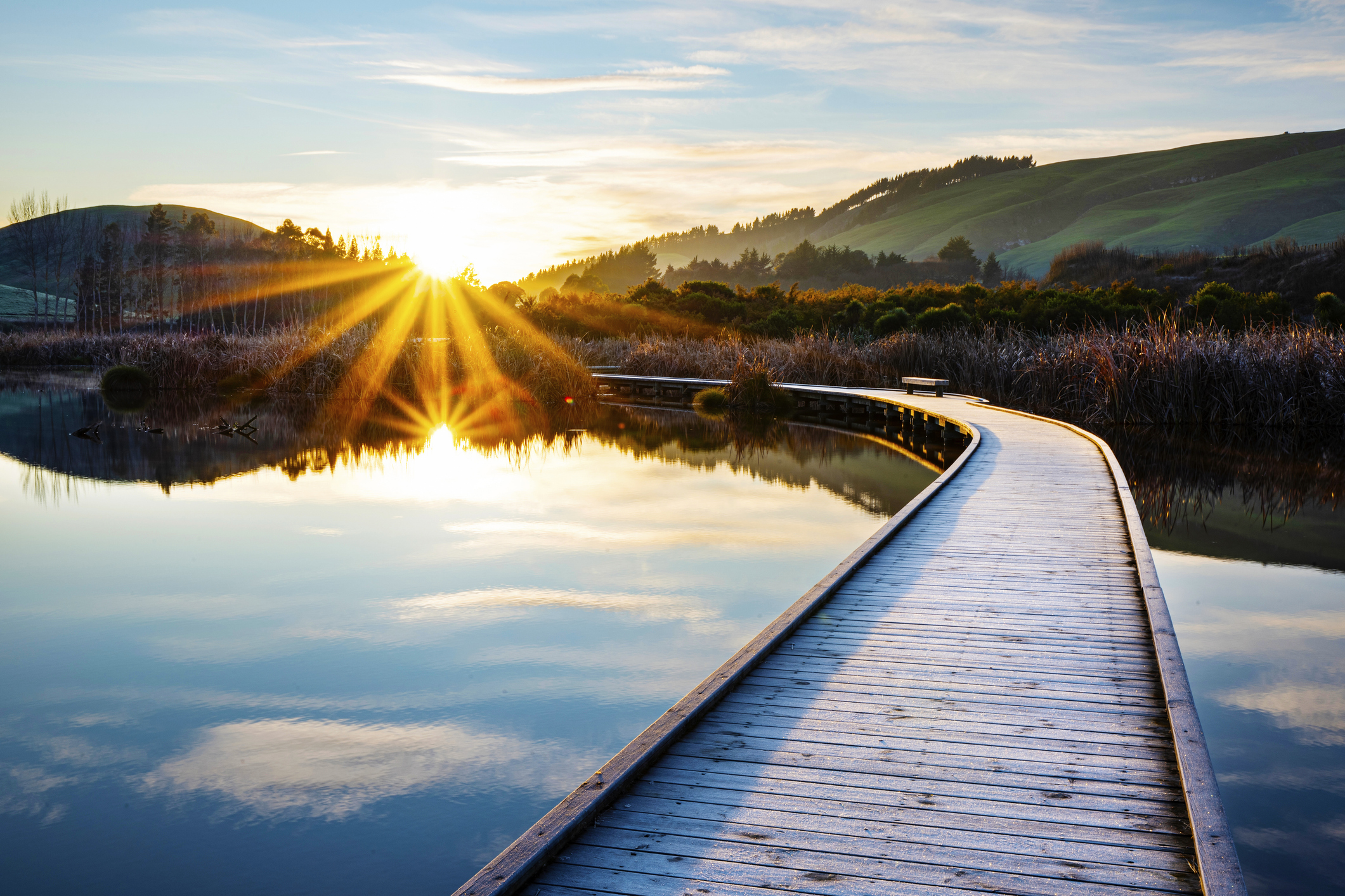 skilled migrant pathway