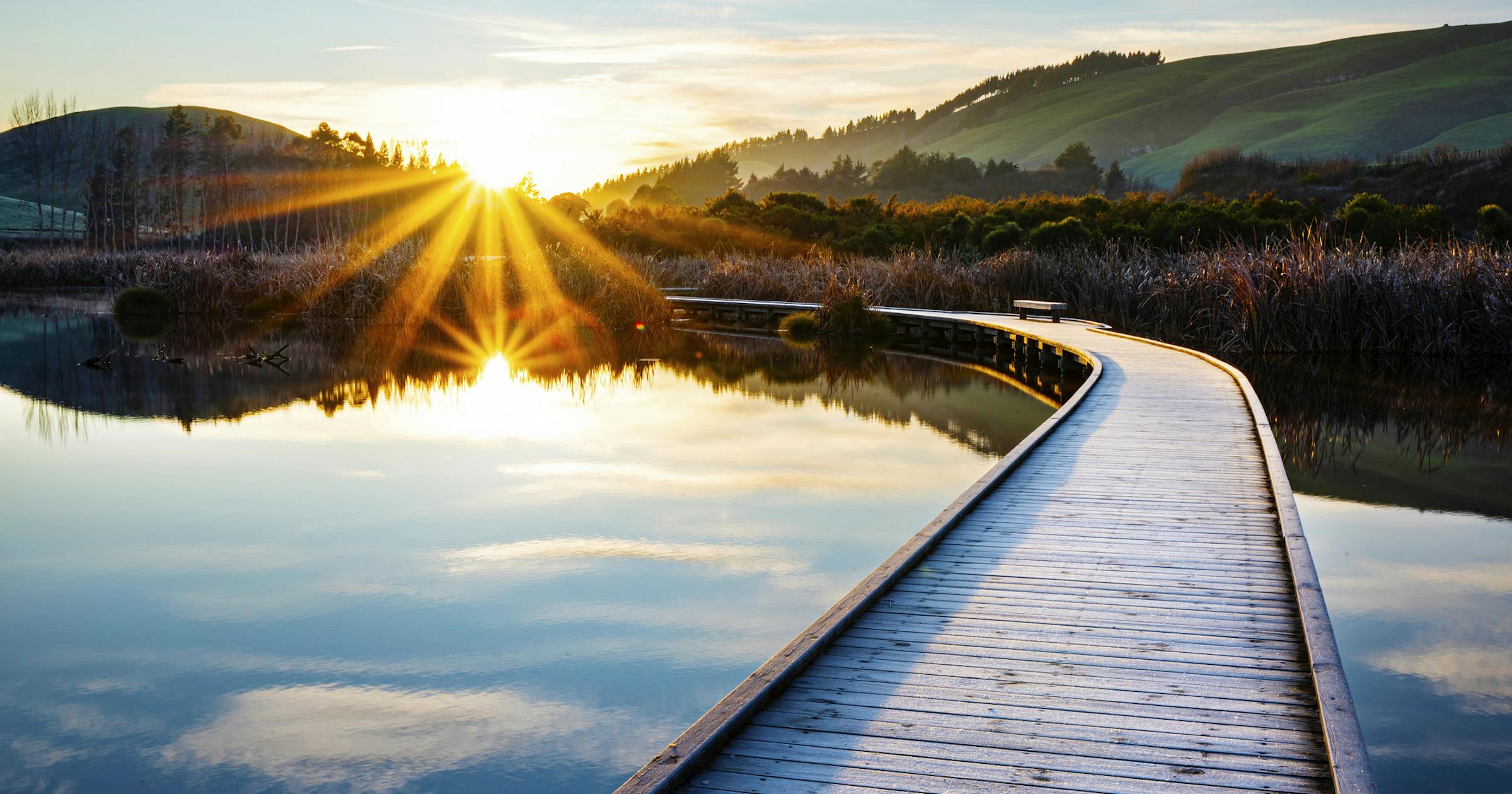 skilled migrant pathway