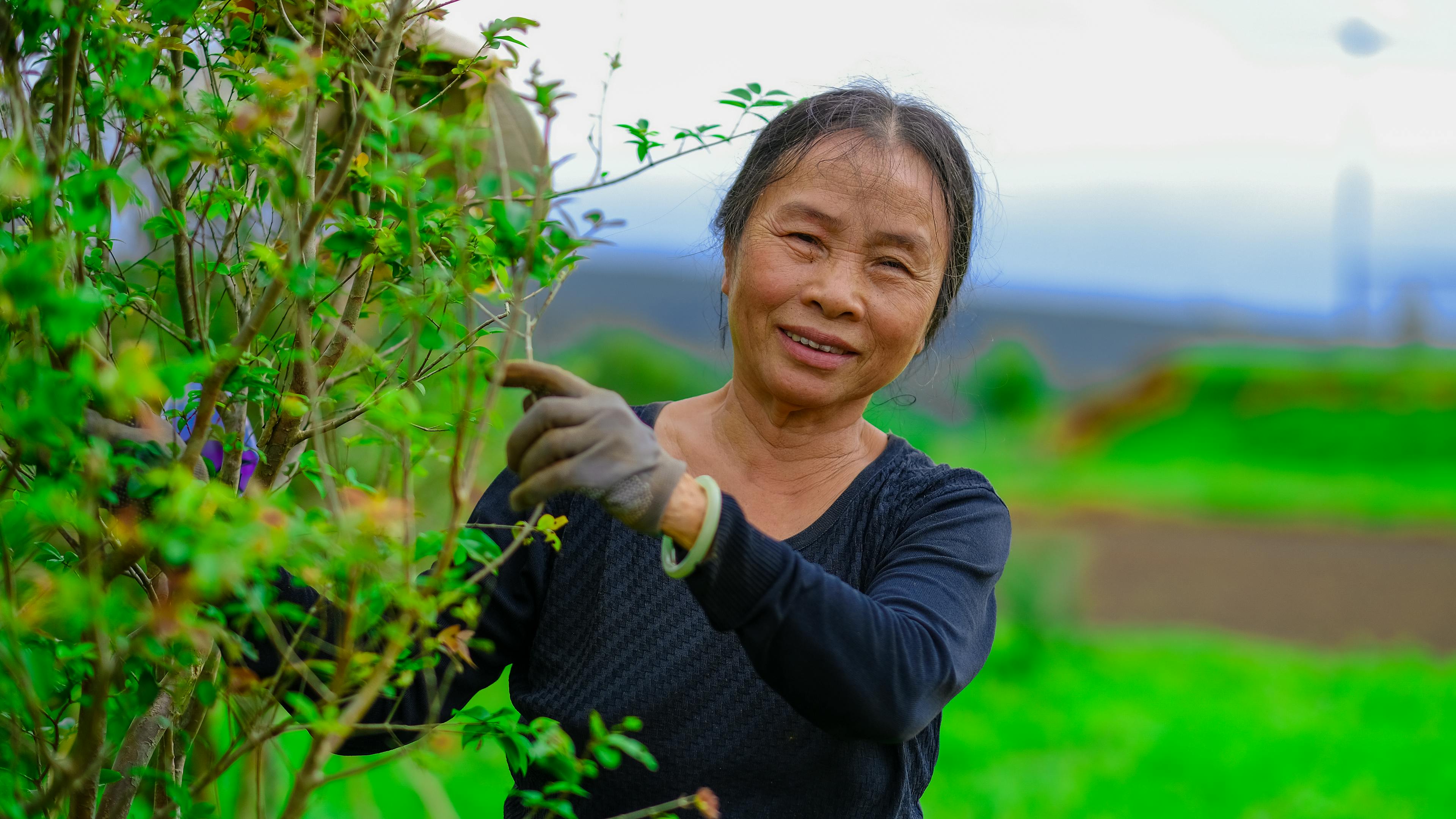 Công nghệ vi sinh