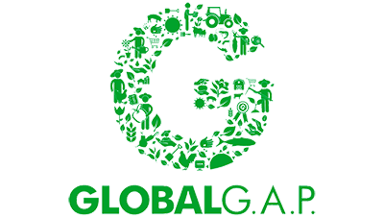 logo global gap