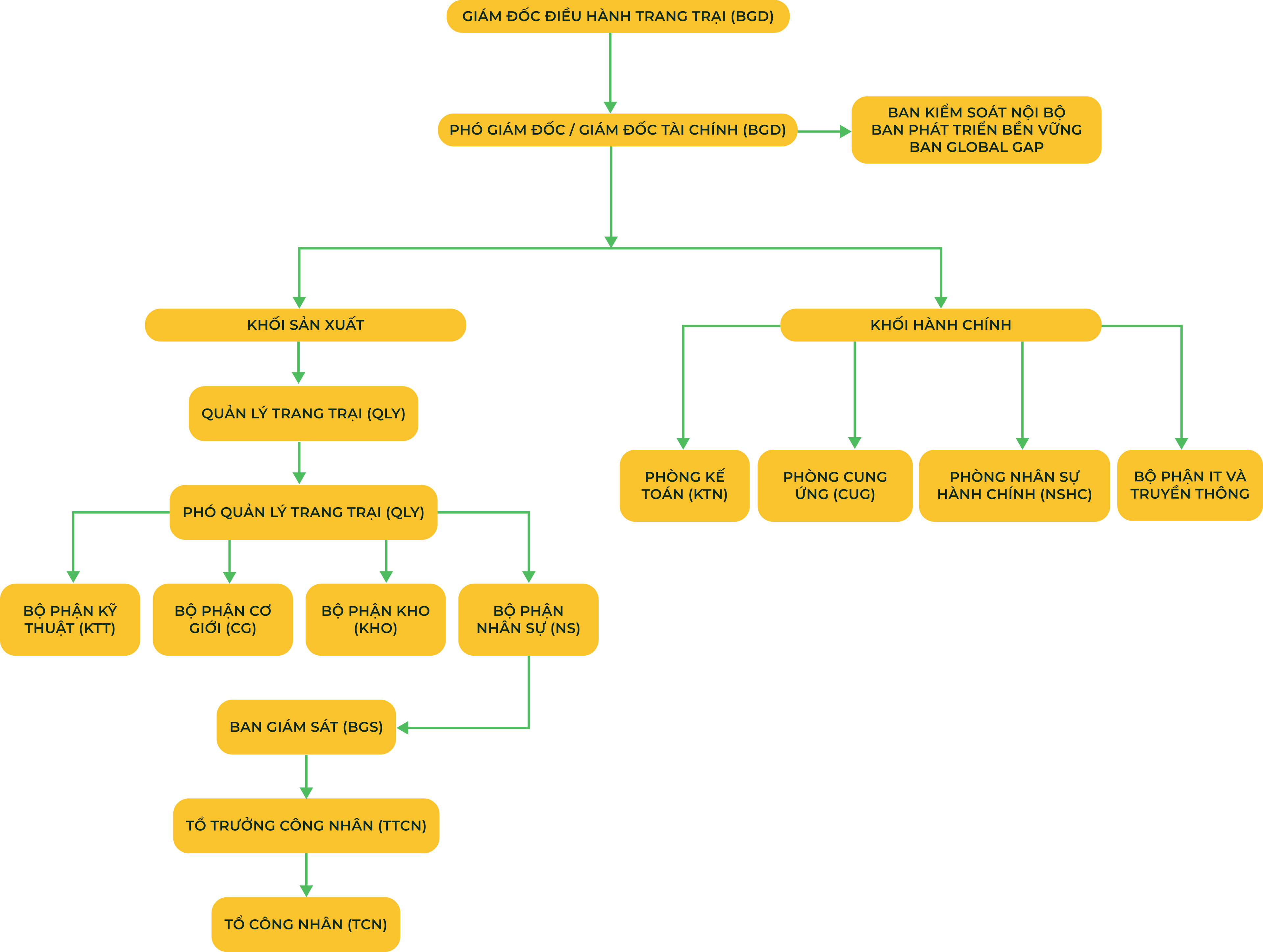 Sơ đồ tổ chức