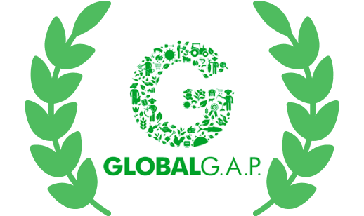 Global GAP icon