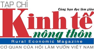 Logo KTNT