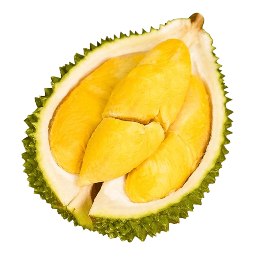 Musang King