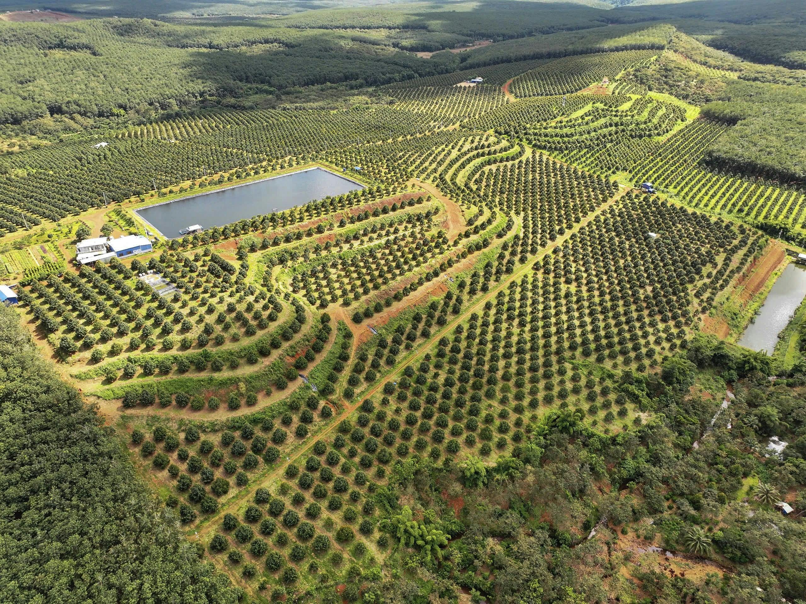 Queen Farm overview