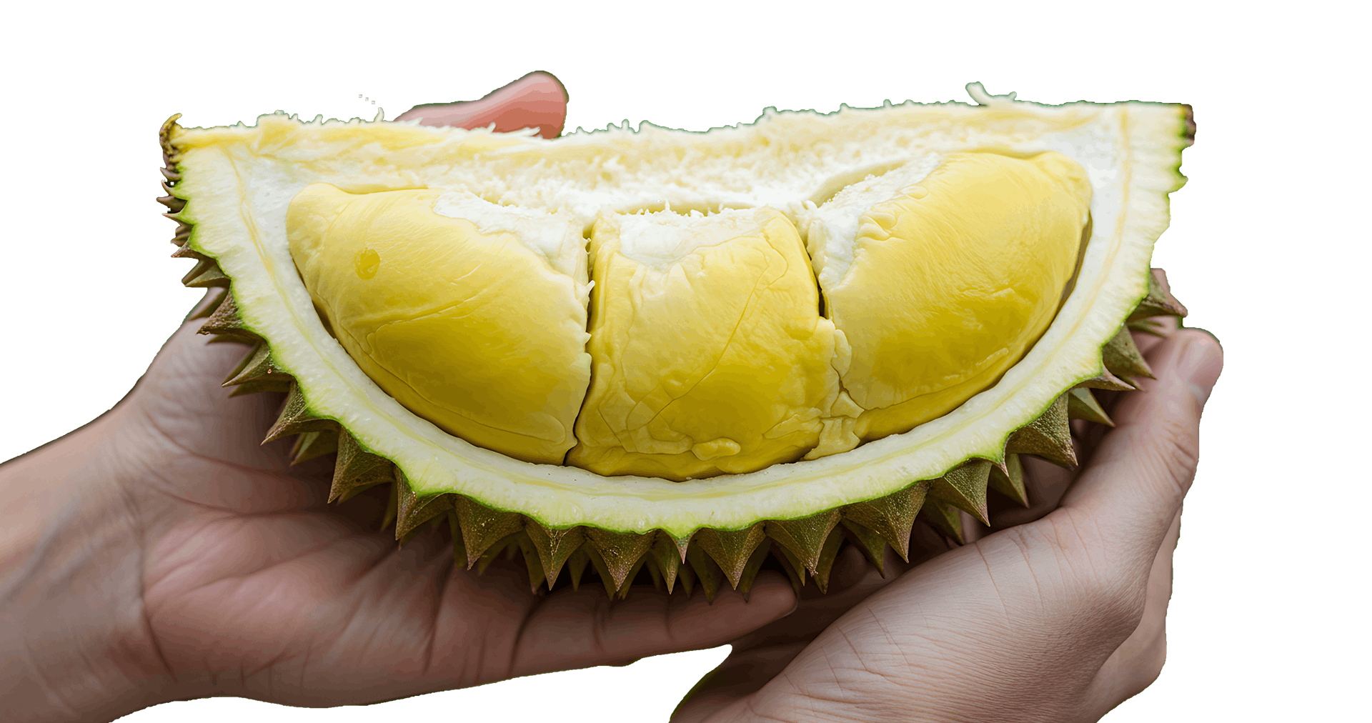 durian in hand