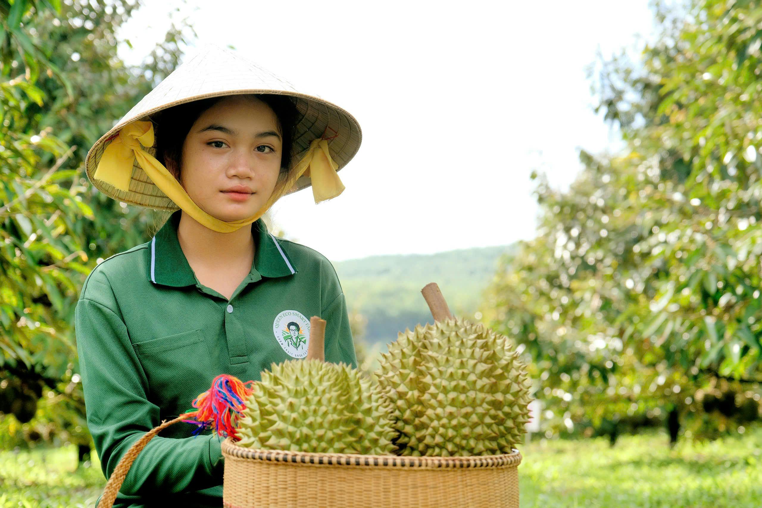 Đóng thùng chuyên biệt bảo vệ từng trái ngon