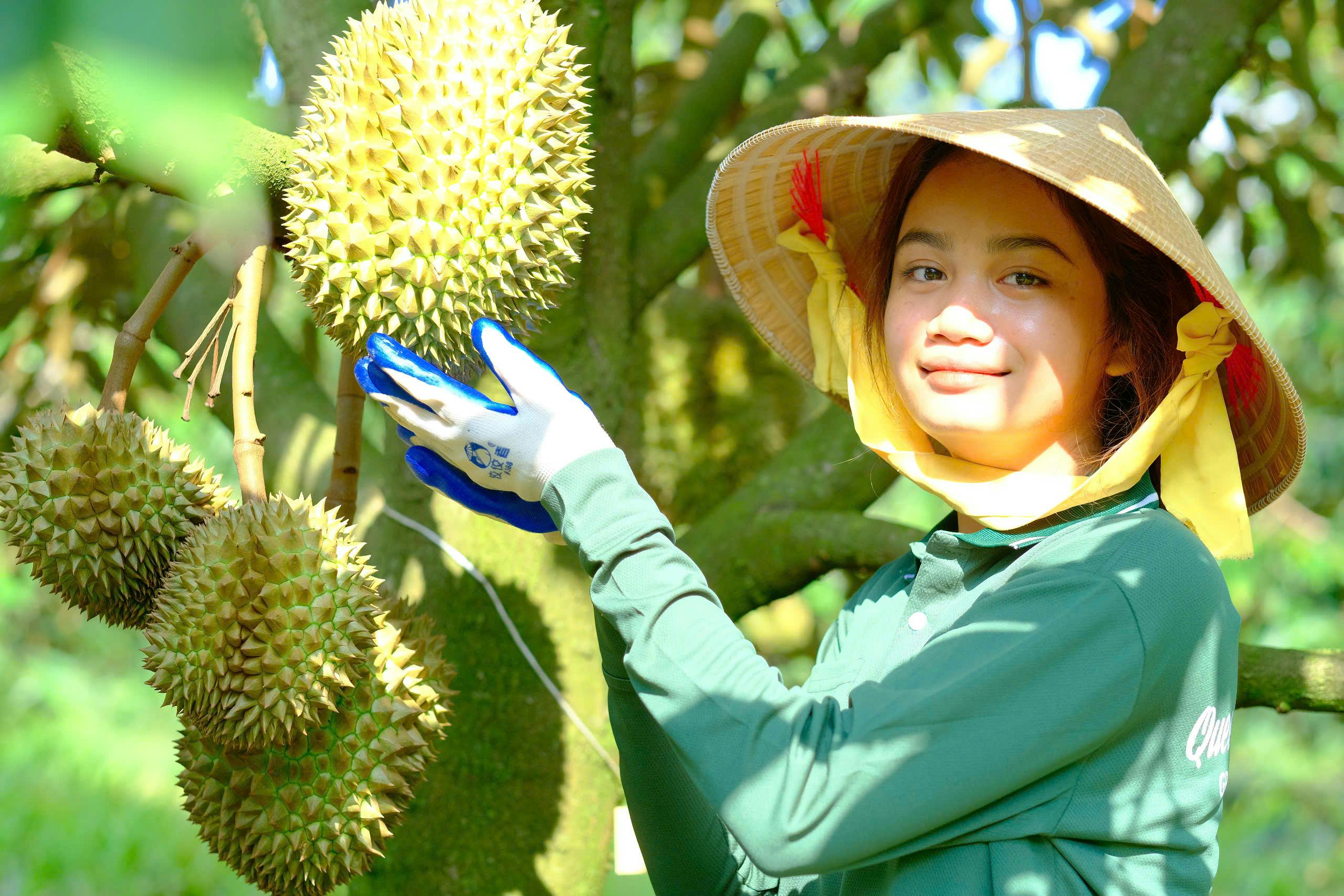 Đặc trưng hình dáng thanh thoát