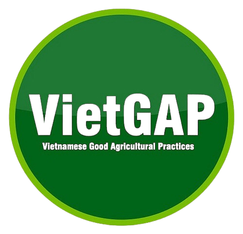 vietgap