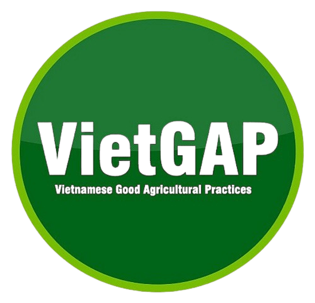 vietgap