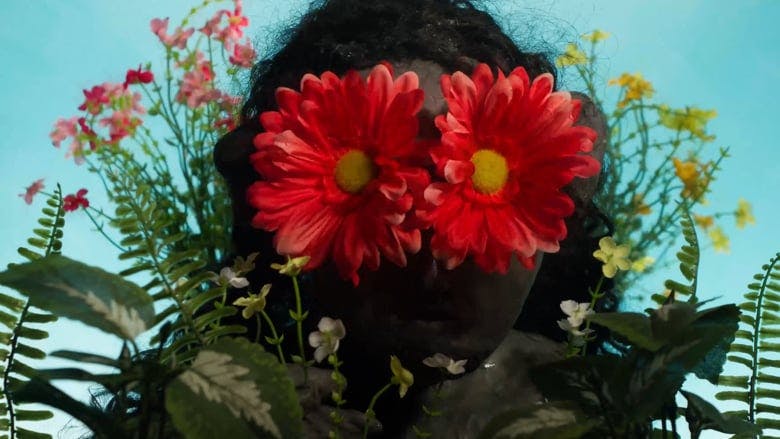 Screenshot from William Allinson's New Math (2017). Stop motion image of a person's head, with flowers all around them. There are two red daisies covering their eyes