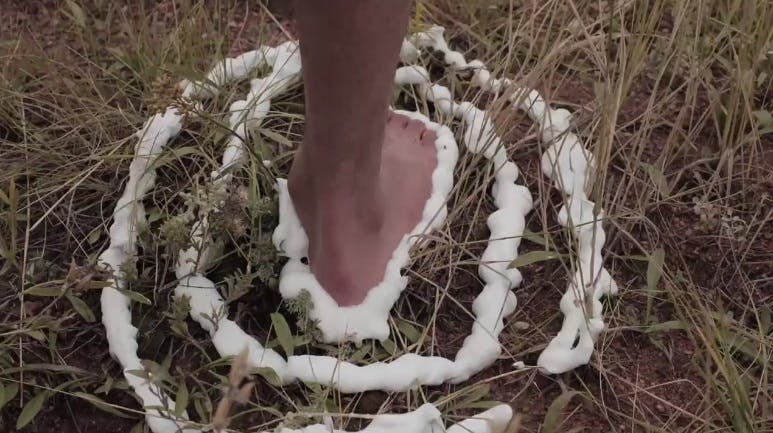 A bare foot stepping on tall grass, surrounded by concentric circles of shaving cream