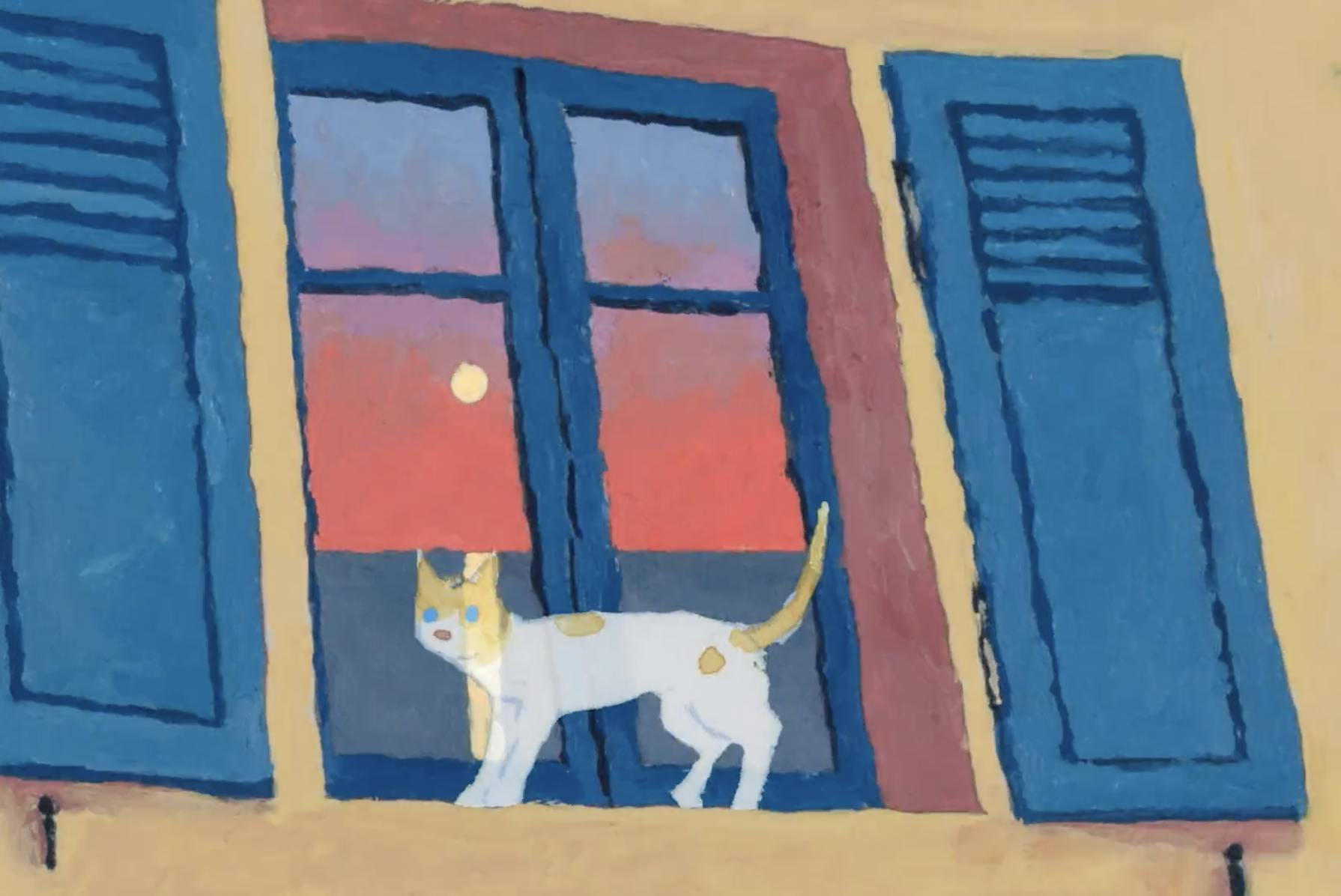 A cat stands in front of a window, the glass panes reflecting the setting sun.