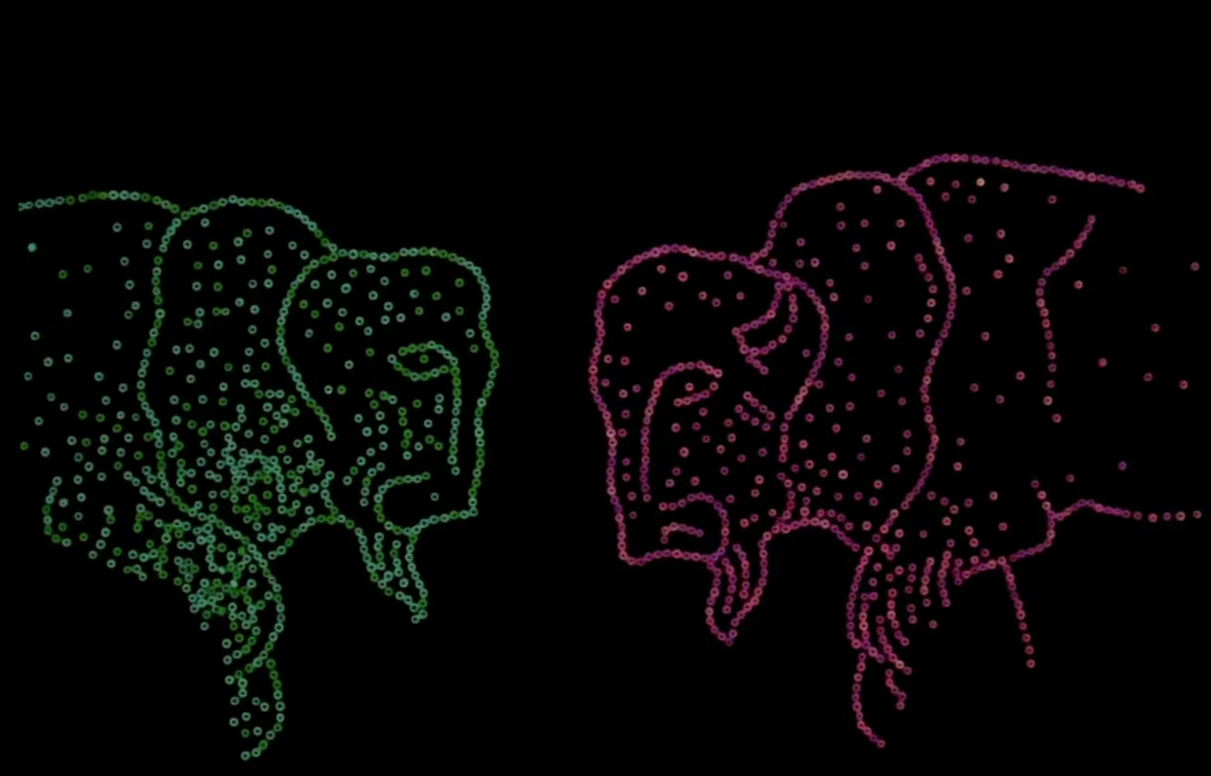 black background, illustrations of buffalo are made out of green sequins on the left and pink sequins on the right
