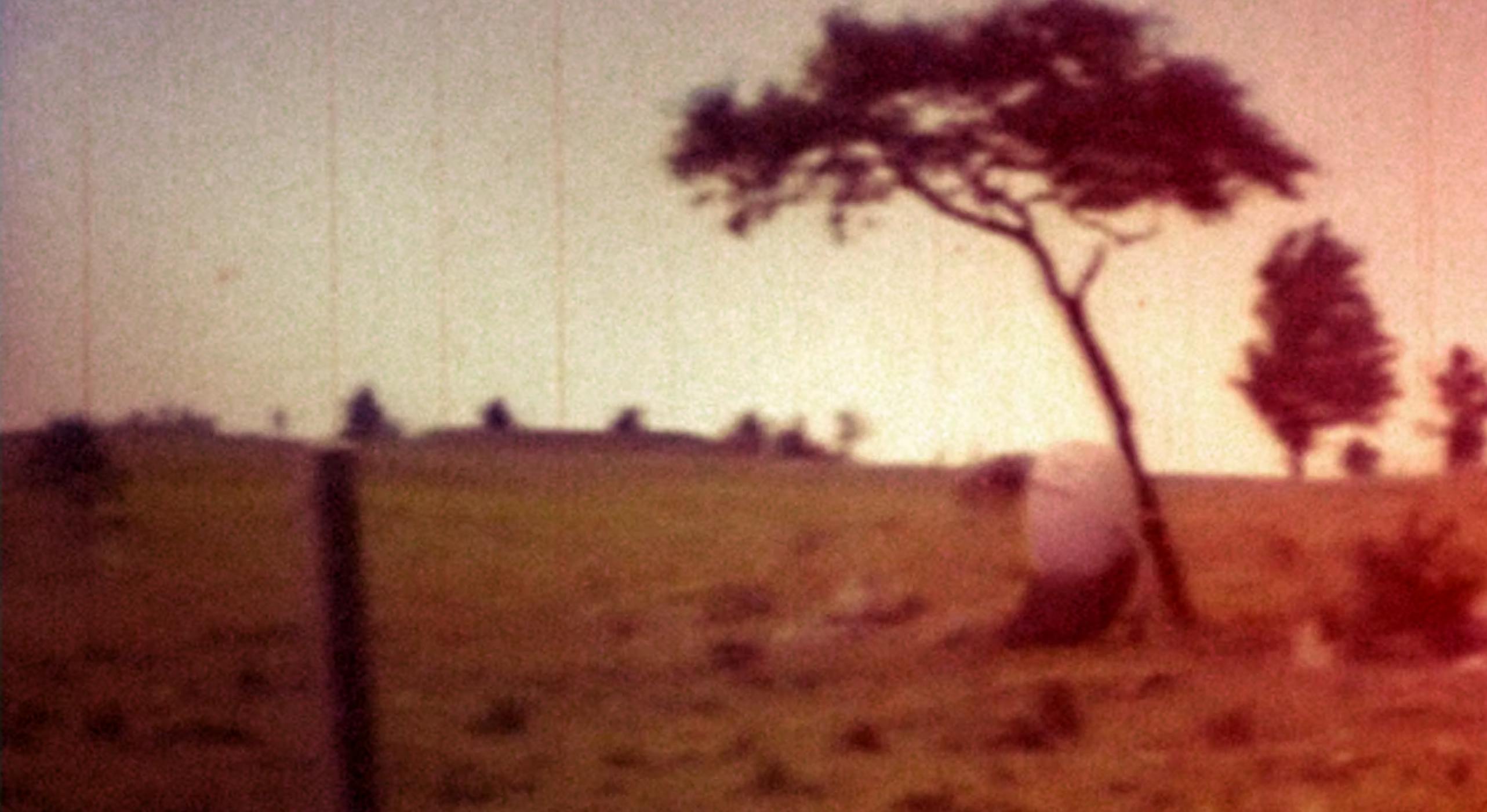shot of a field with two trees. The picture has a filter to make it look noisy, sepia-toned, as if it's a flashback. at the foot of the main tree is an egg-shaped figure looking off into the distance. Florence Hill's Migration (2013)