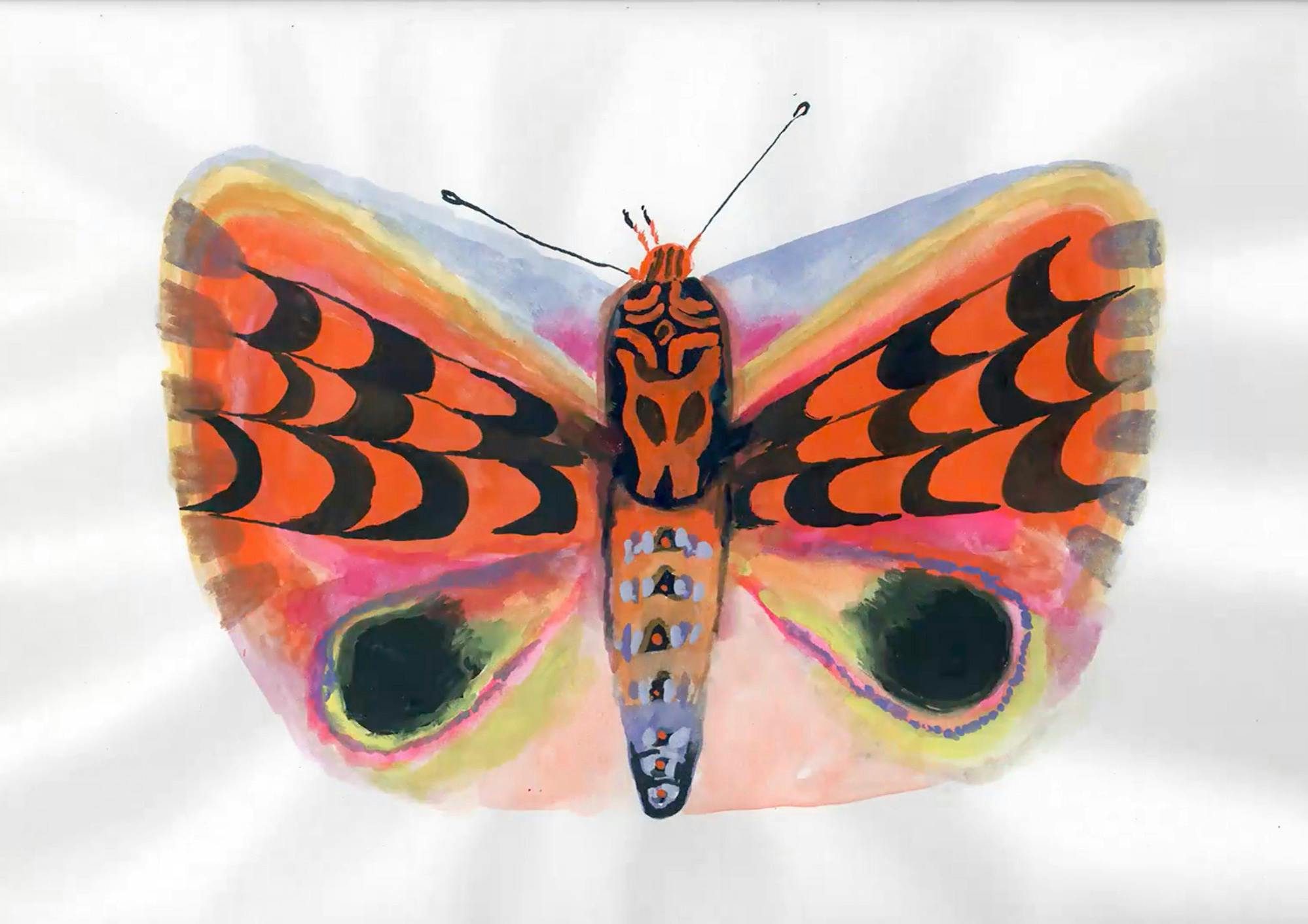 A hand-painted moth on a white background