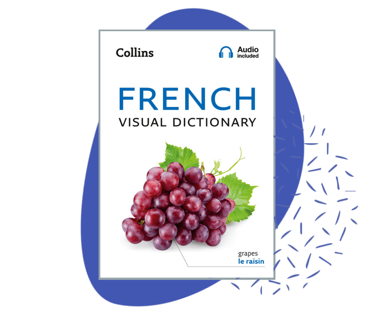 Collins French Quizlet