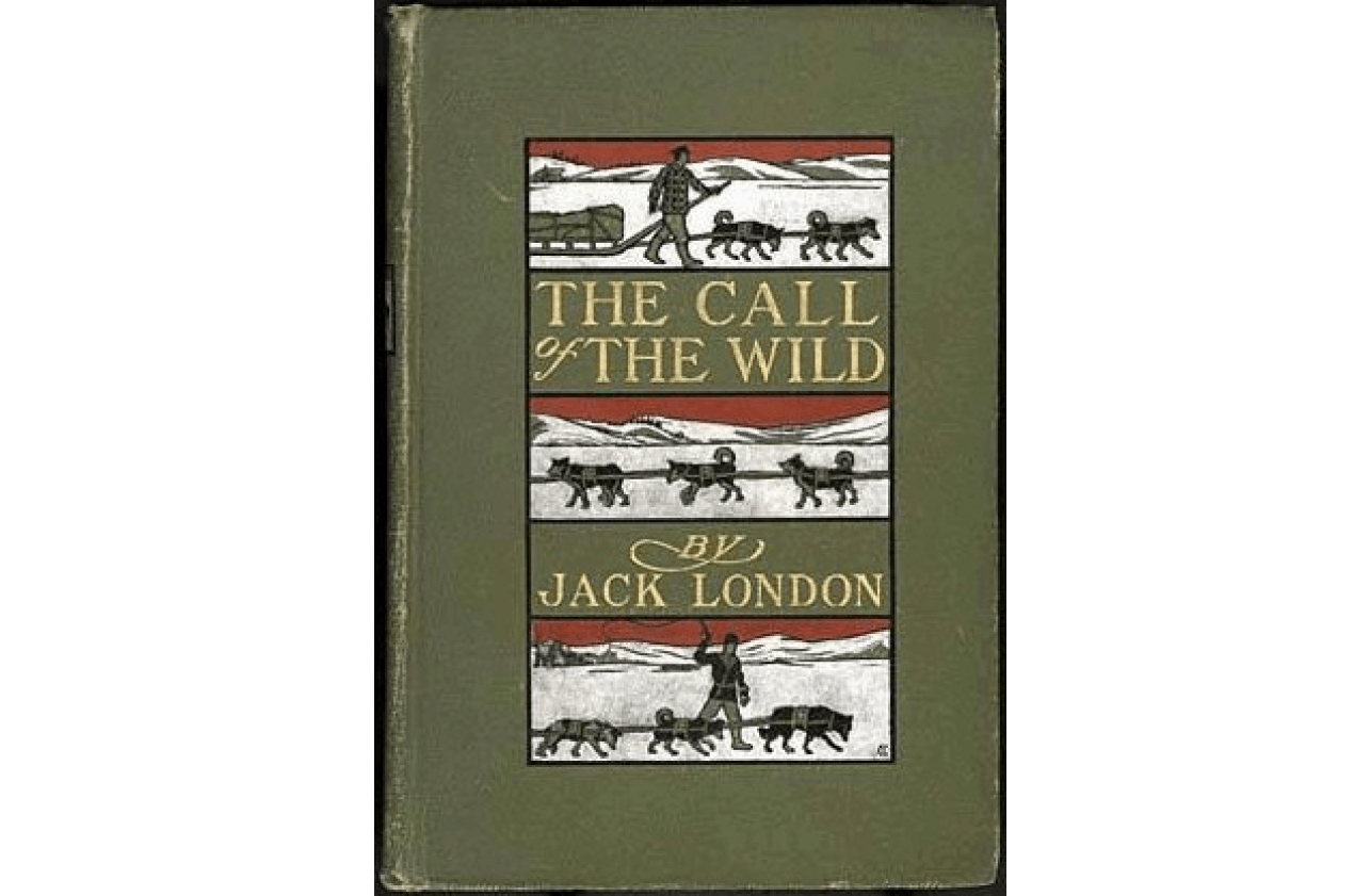 The Call of the Wild Study Guide Quizlet