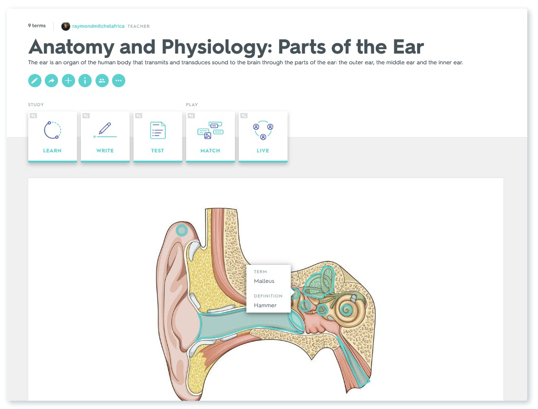 Custom images and audio with Quizlet Teacher Quizlet