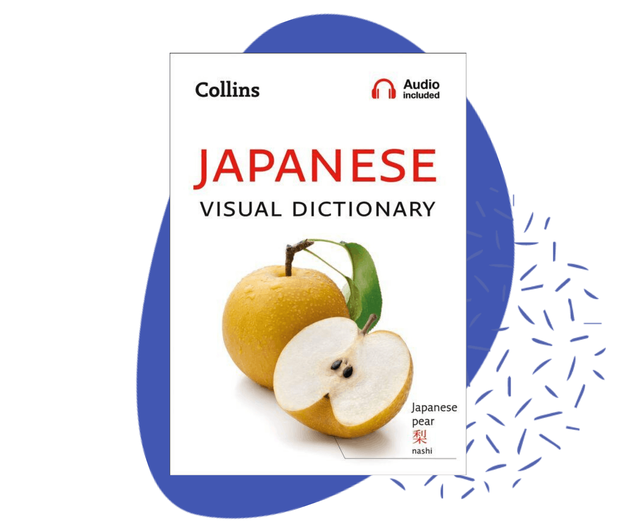 collins-japanese-quizlet