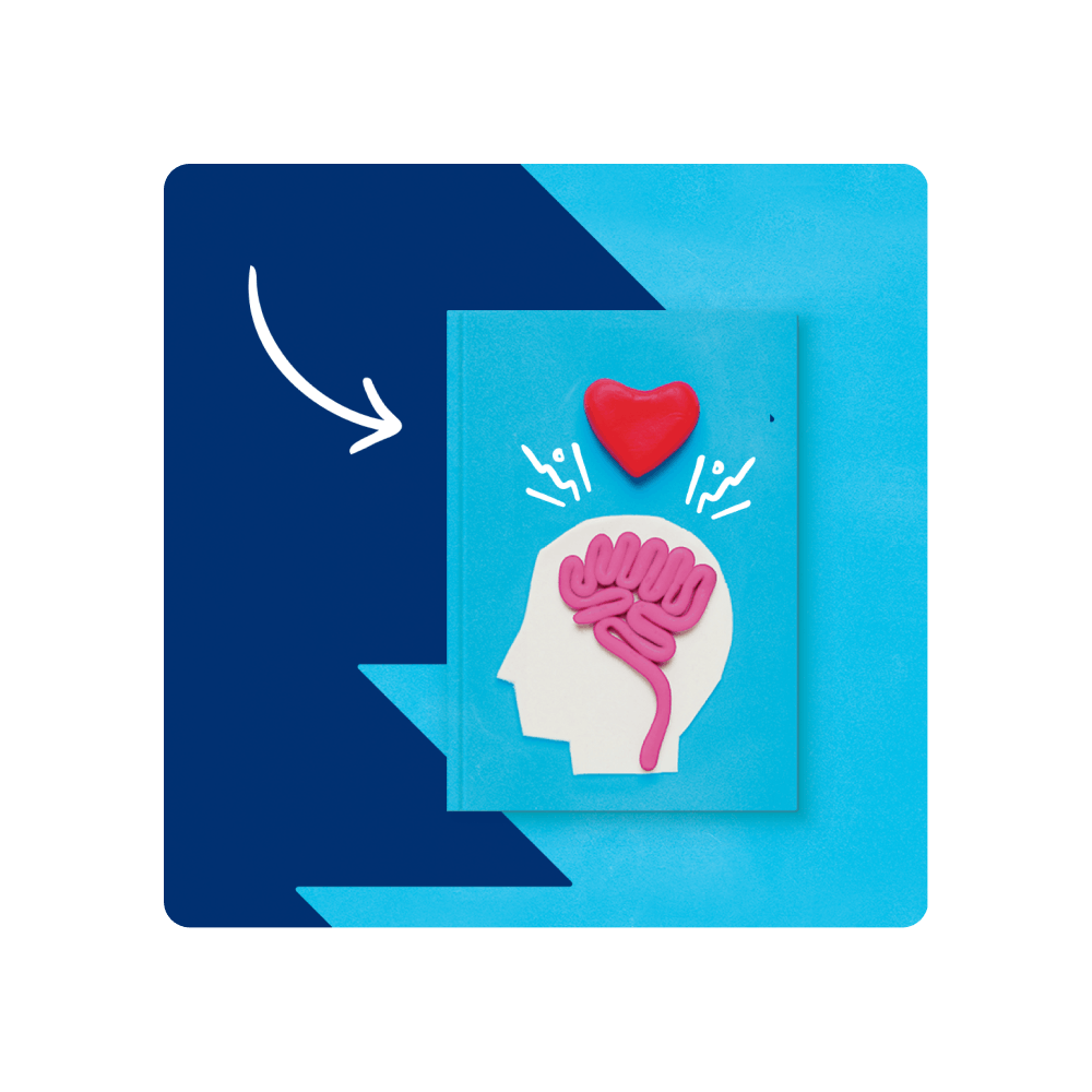 understanding-the-relationship-between-mental-health-and-studying-quizlet