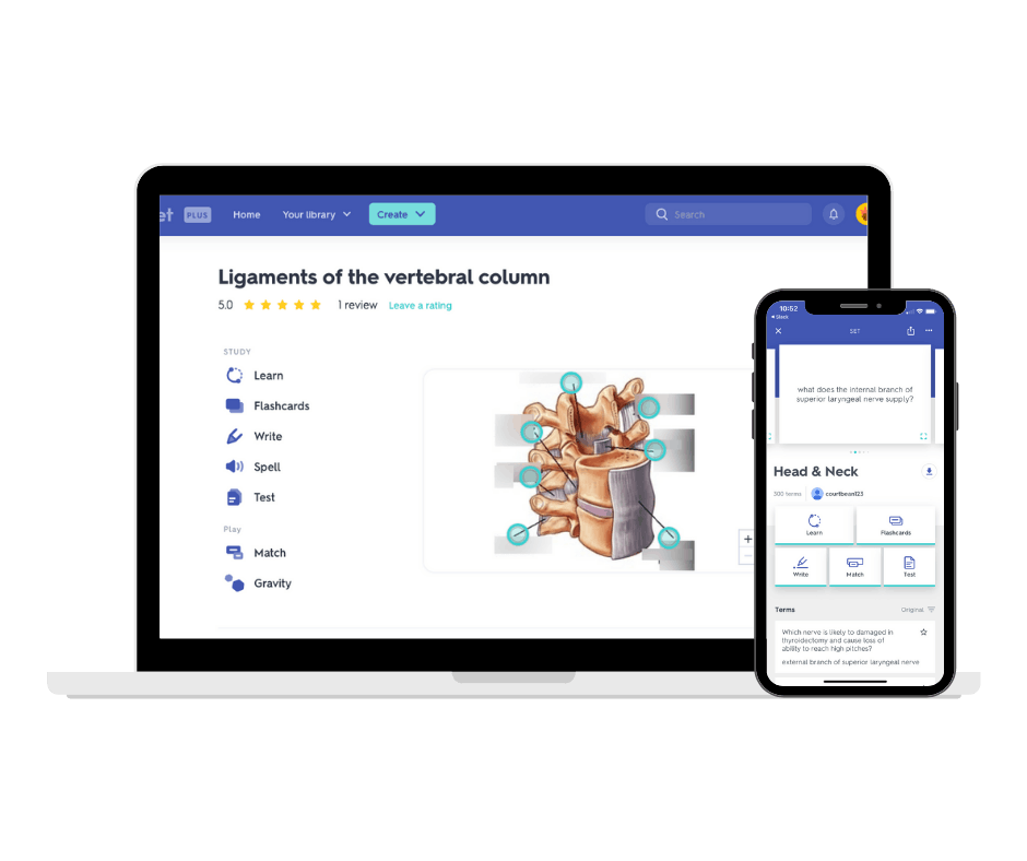 The Medic Portal x Quizlet Quizlet
