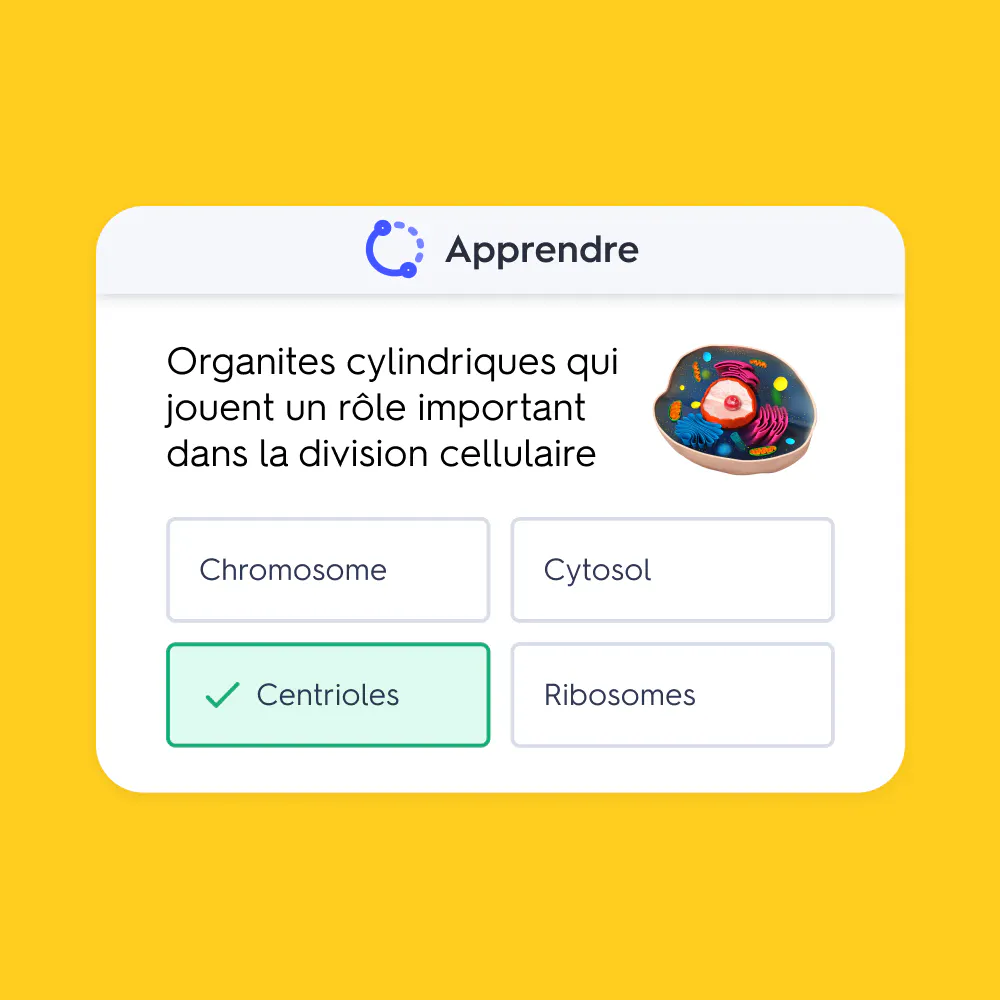 APPRENDRE QUIZLET visual data 8