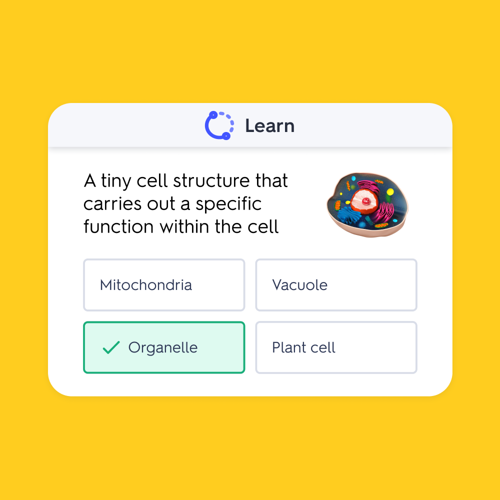 Learn Mode: Study Smarter With Practice Questions | Quizlet