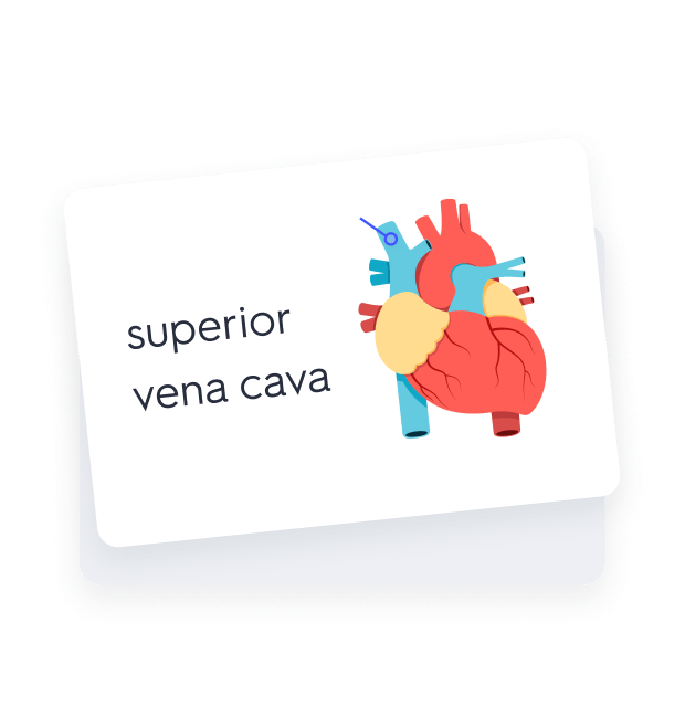 Digital Flashcards & Revision Cards for Students | Quizlet