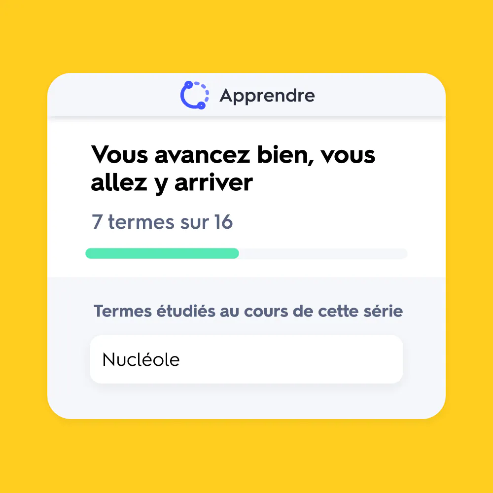 APPRENDRE QUIZLET visual data 7
