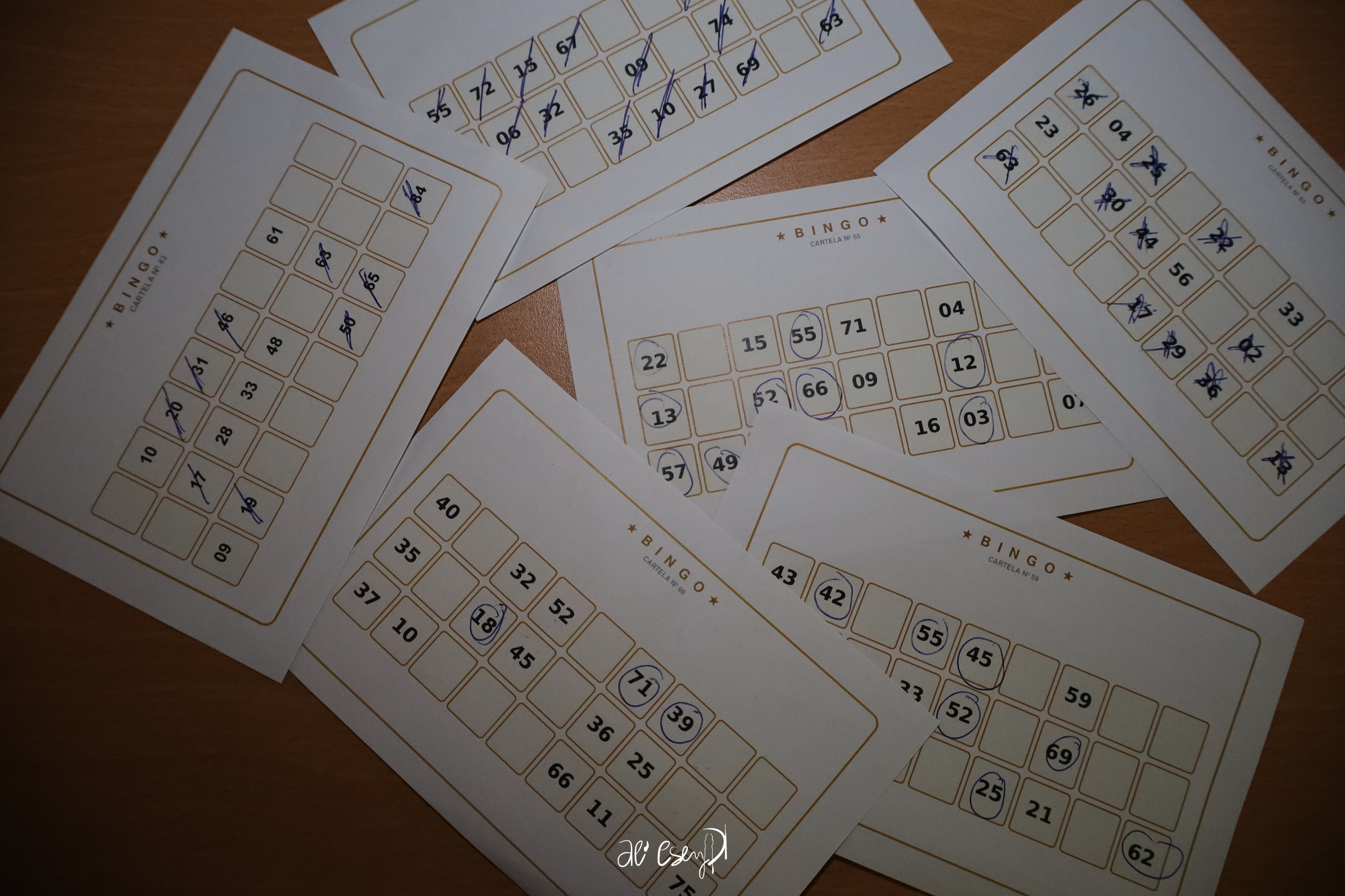 Bingo Night
