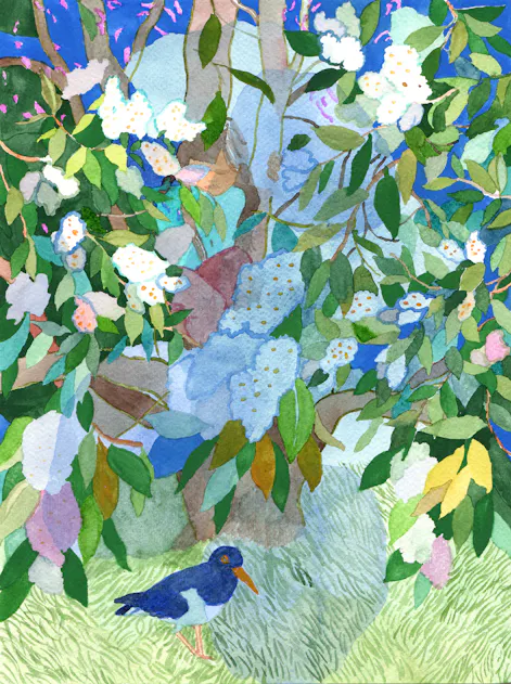 Tule katsomaan, Ronja