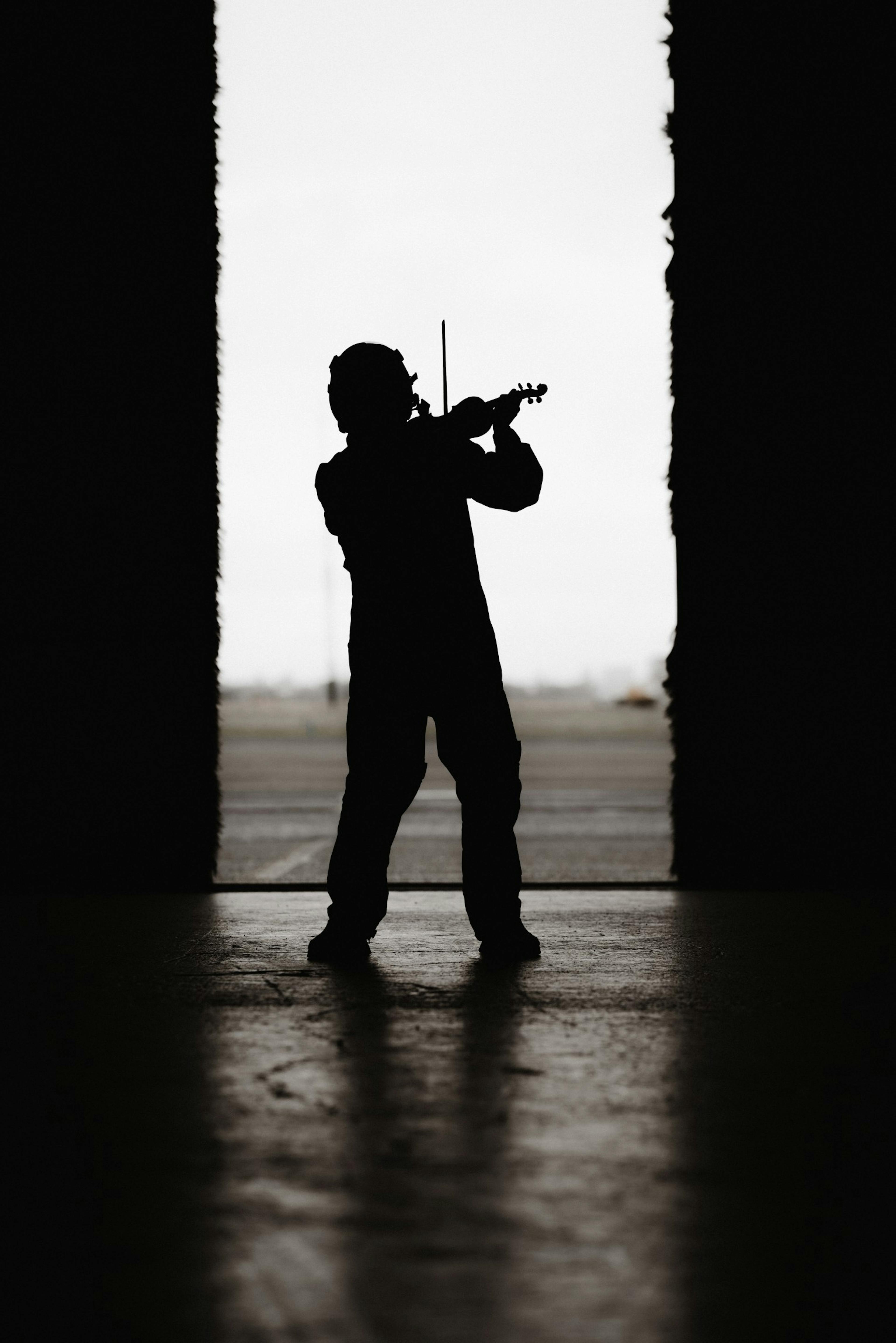 Violinist