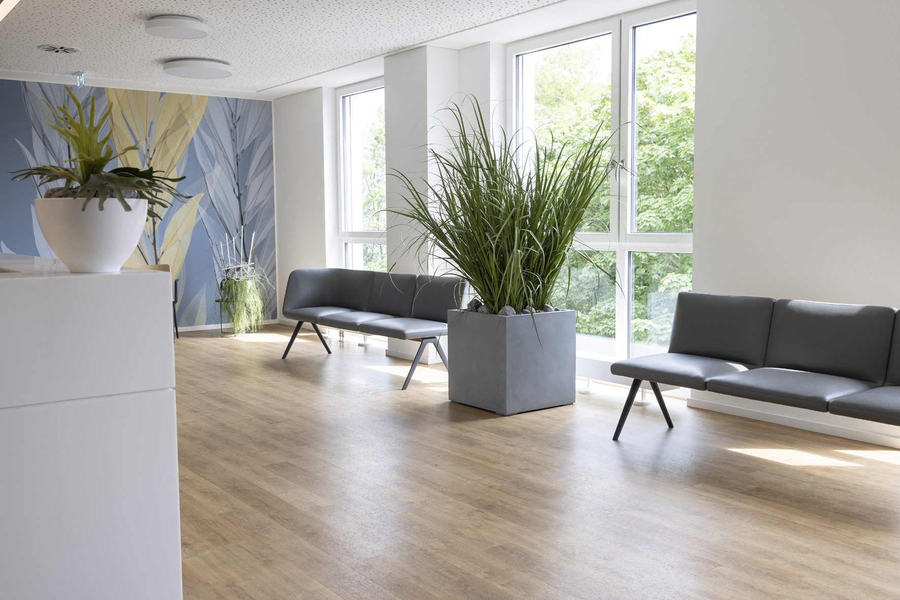 Wartebereich der Radiologie Mühlheim mit zwei schwarzen Couch-Bänken und einer großen, grünen Pflanze in der Mitte