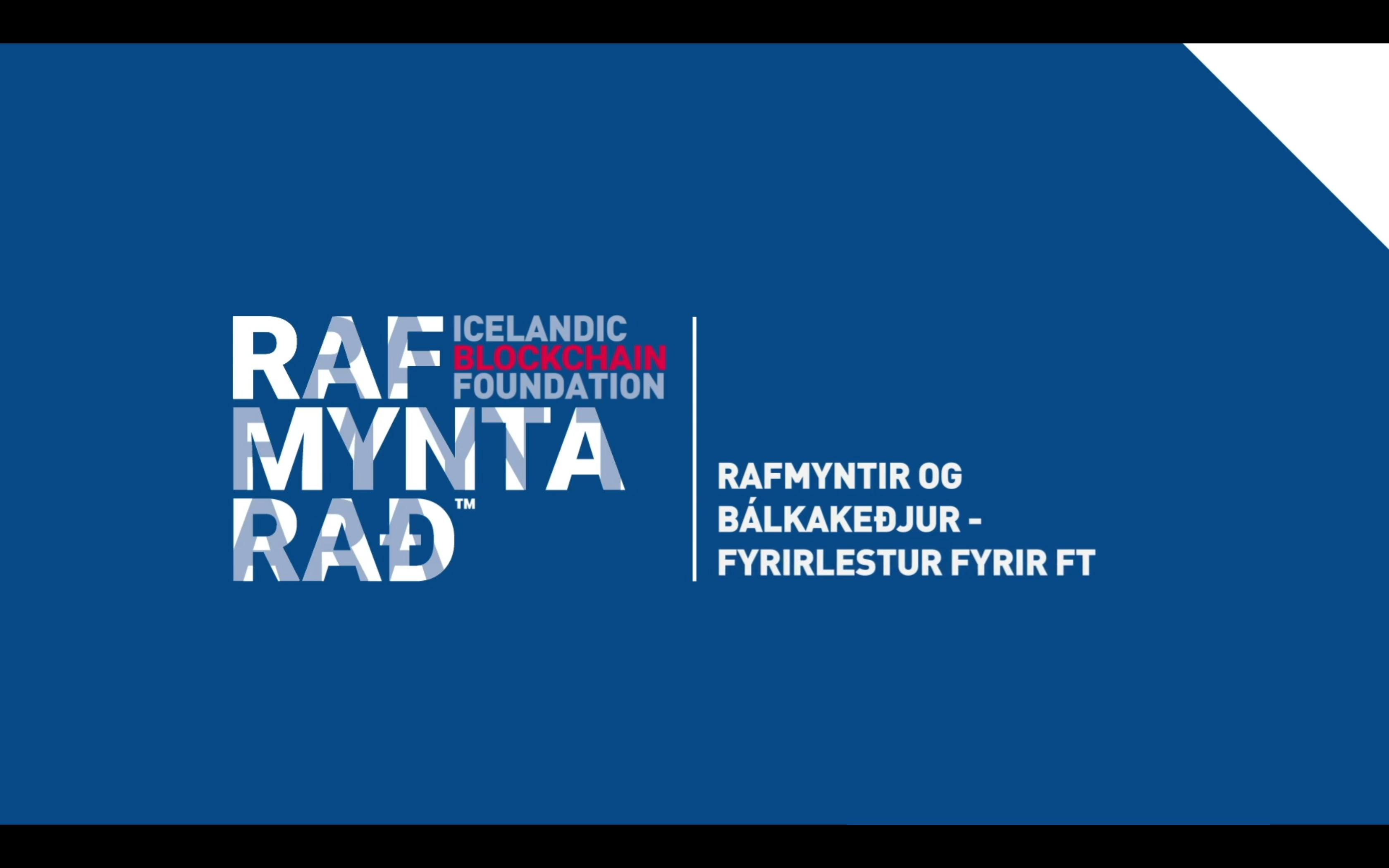 Rafmyntir og Bálkakeðjur - Fyrirlestur fyrir FT