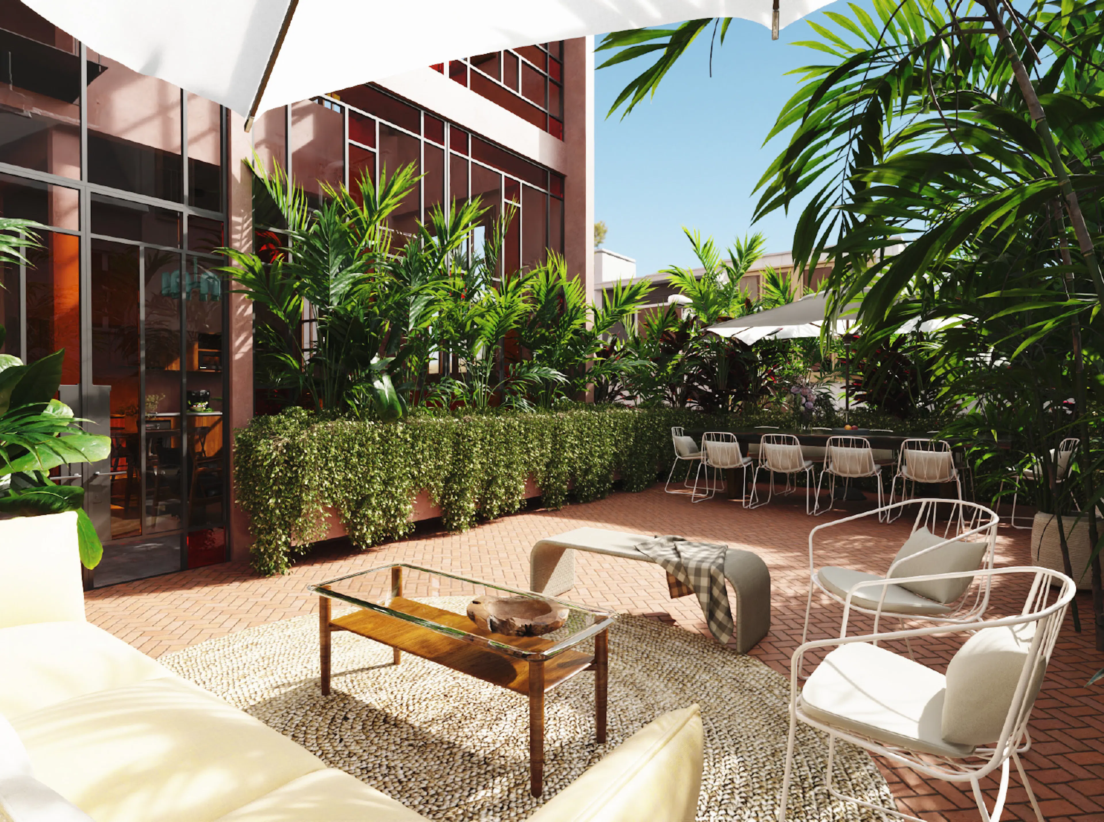 Compostela 567 Process #8