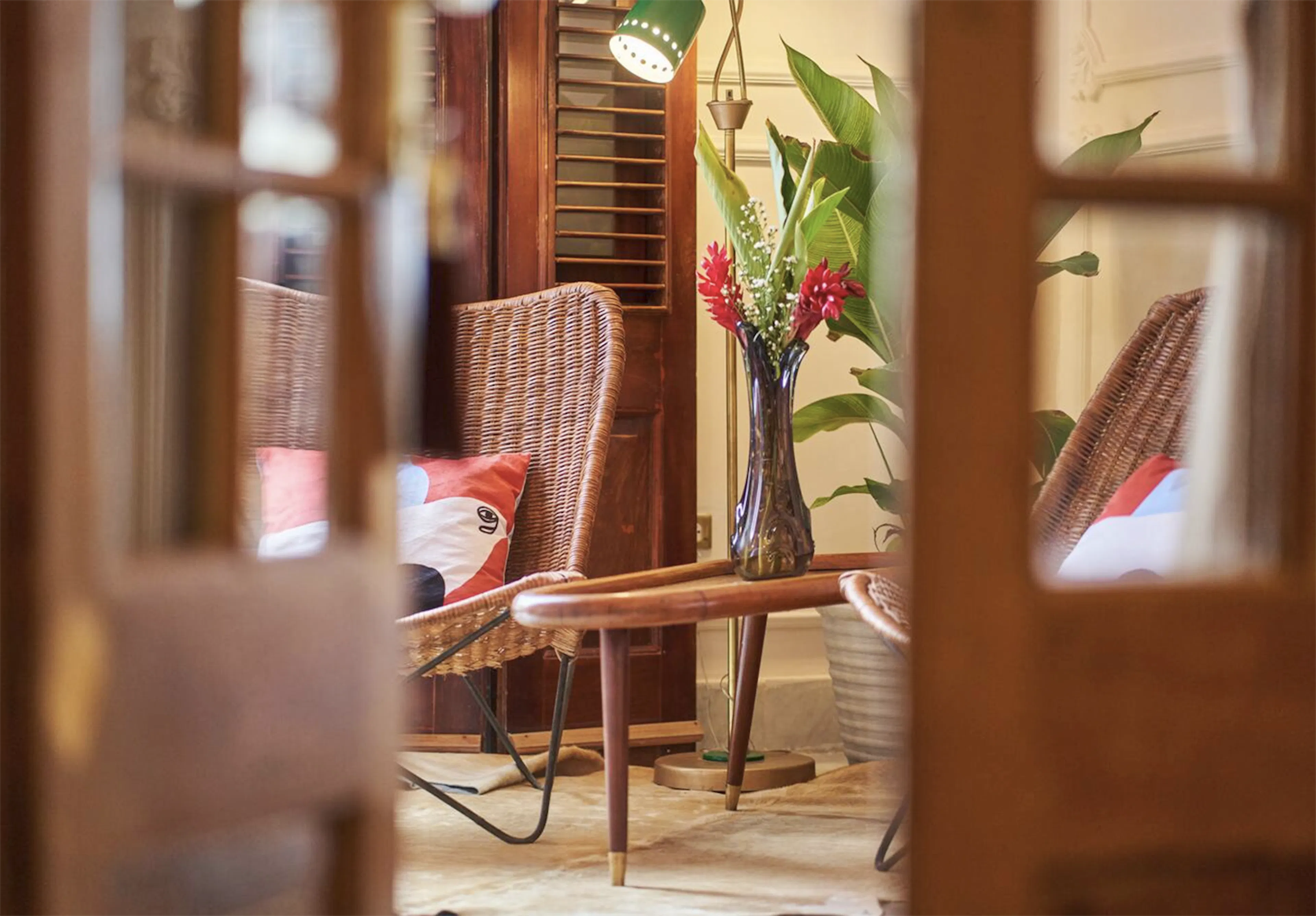 JANE, MI AMOR Process #14