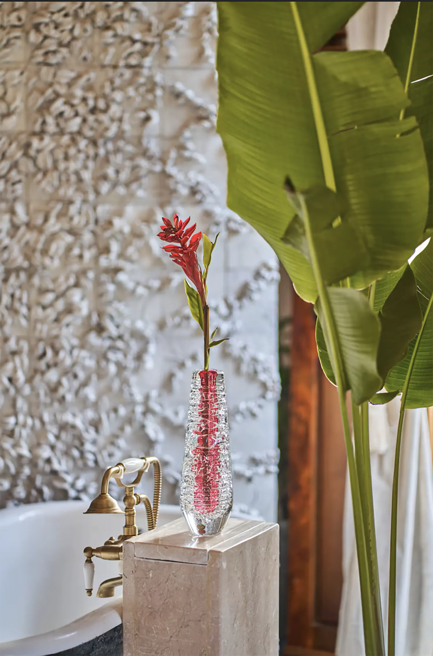 JANE, MI AMOR Process #8