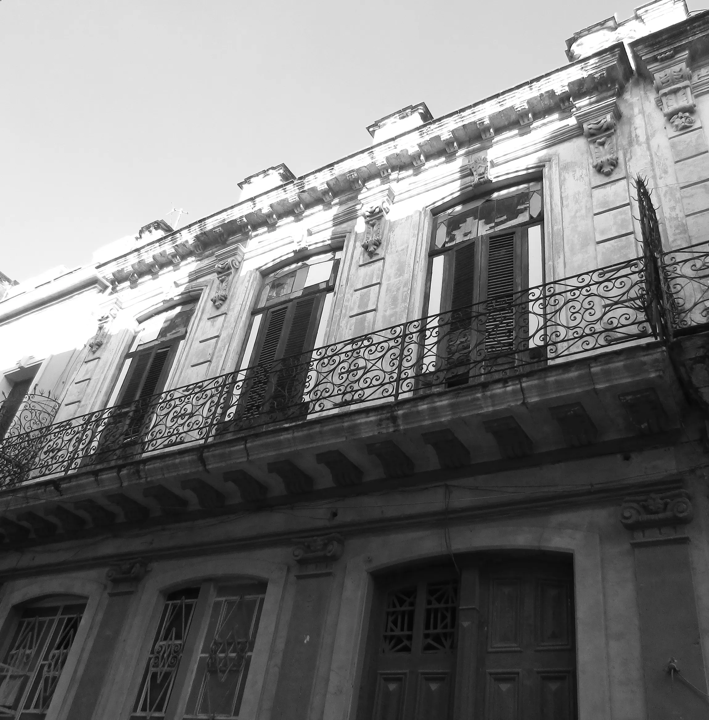 ELVIRA, MI AMOR Photo #1