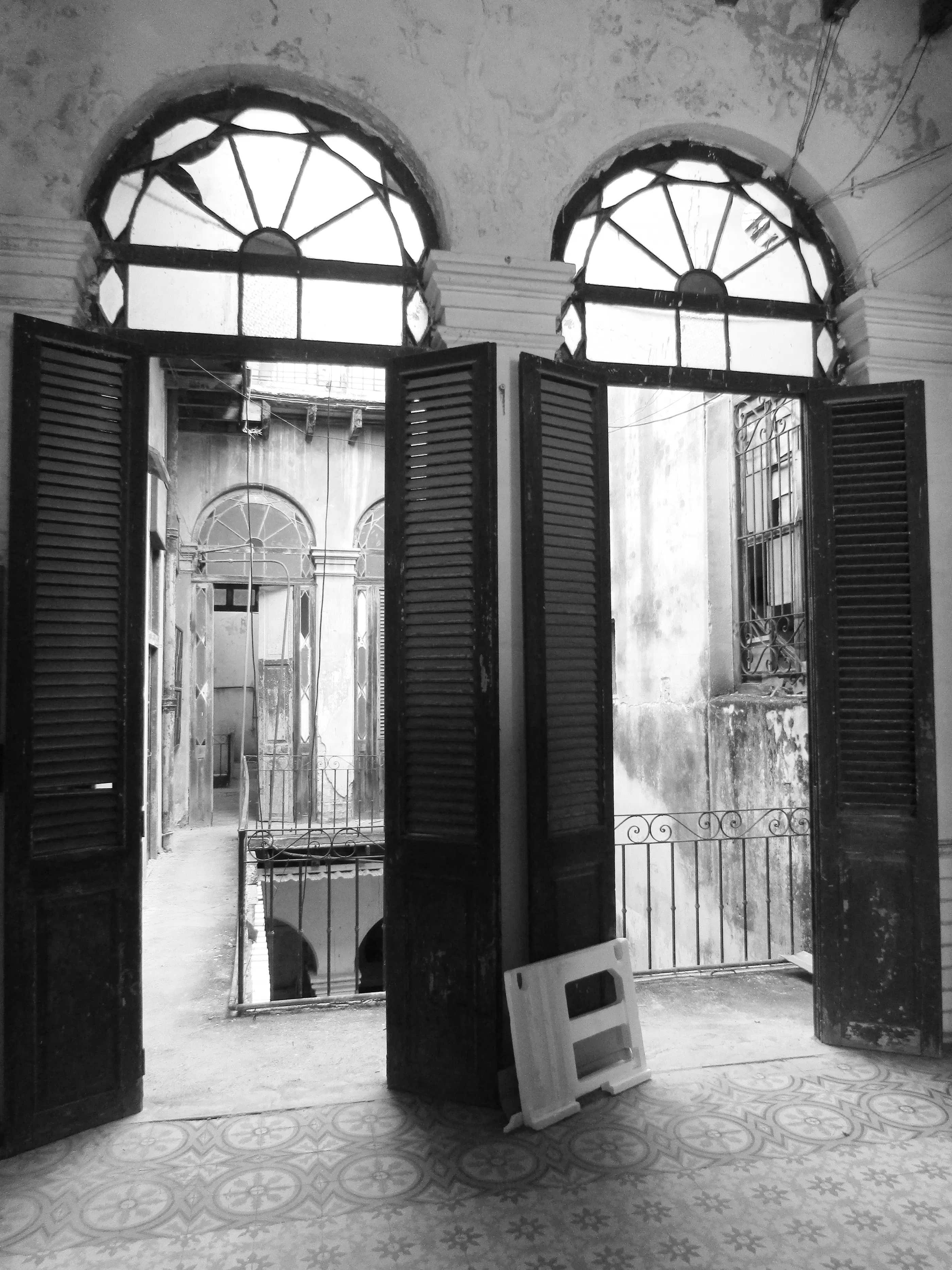 ELVIRA, MI AMOR Photo #7