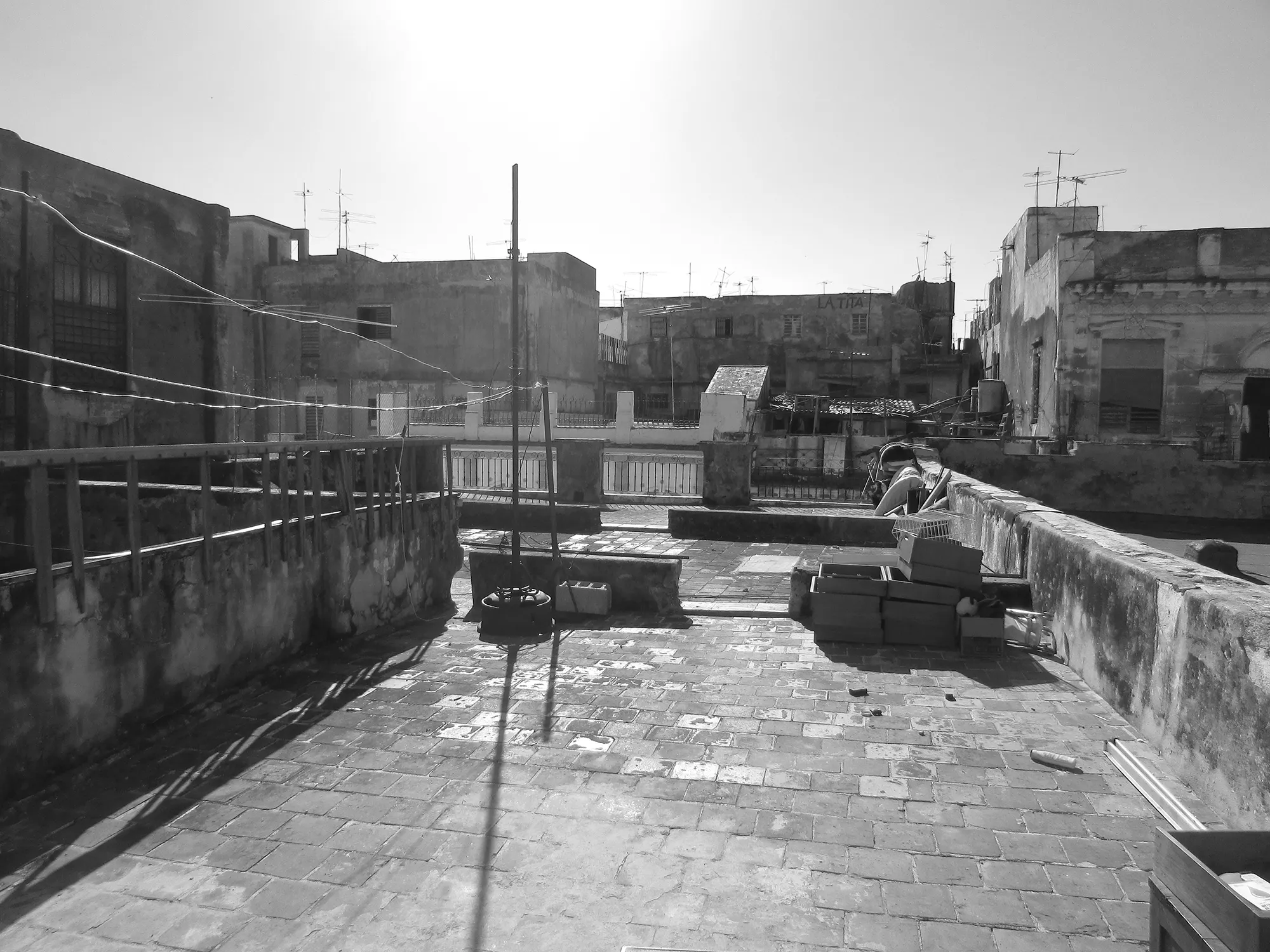 ELVIRA, MI AMOR Photo #3