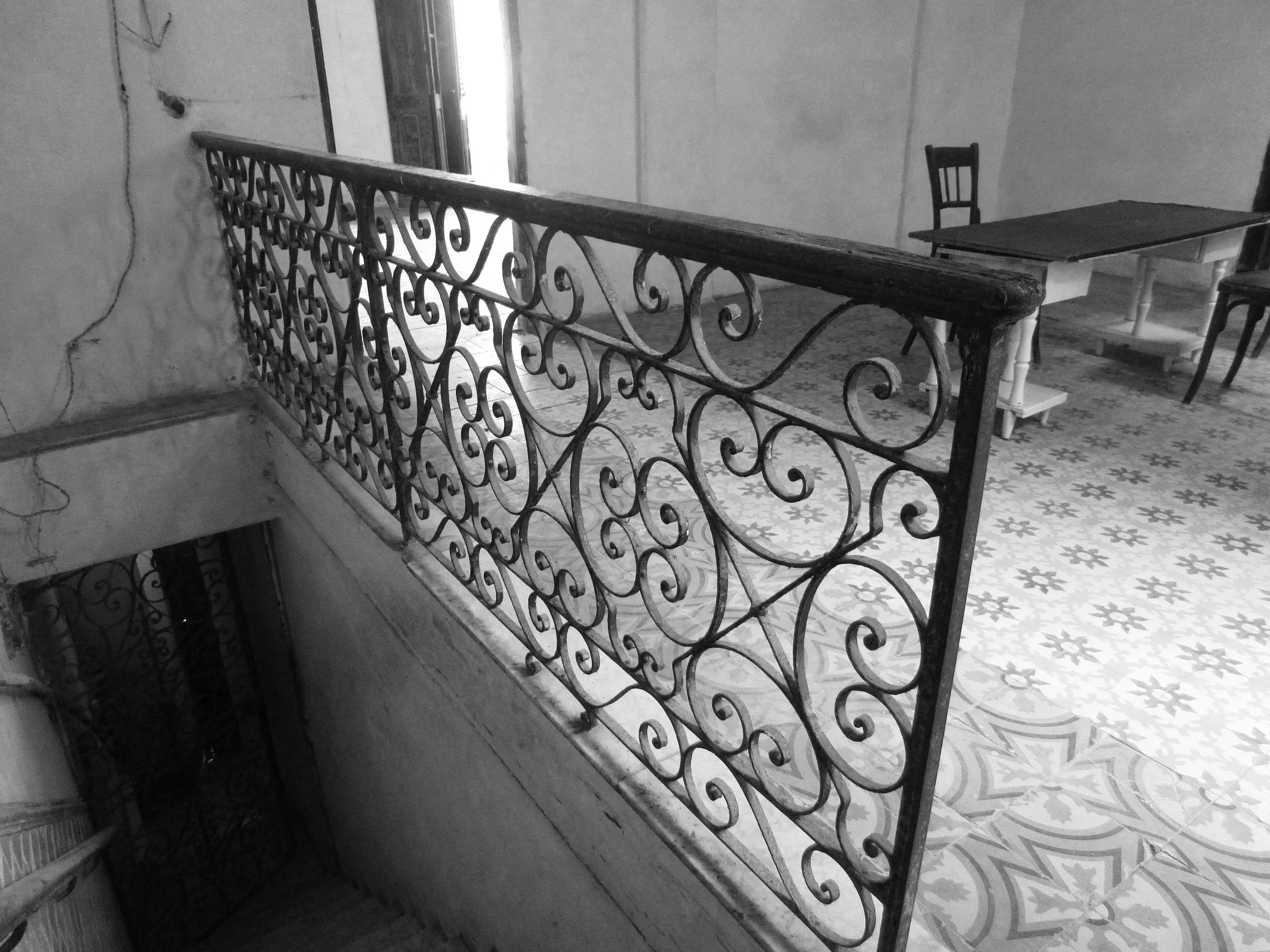 ELVIRA, MI AMOR Photo #4