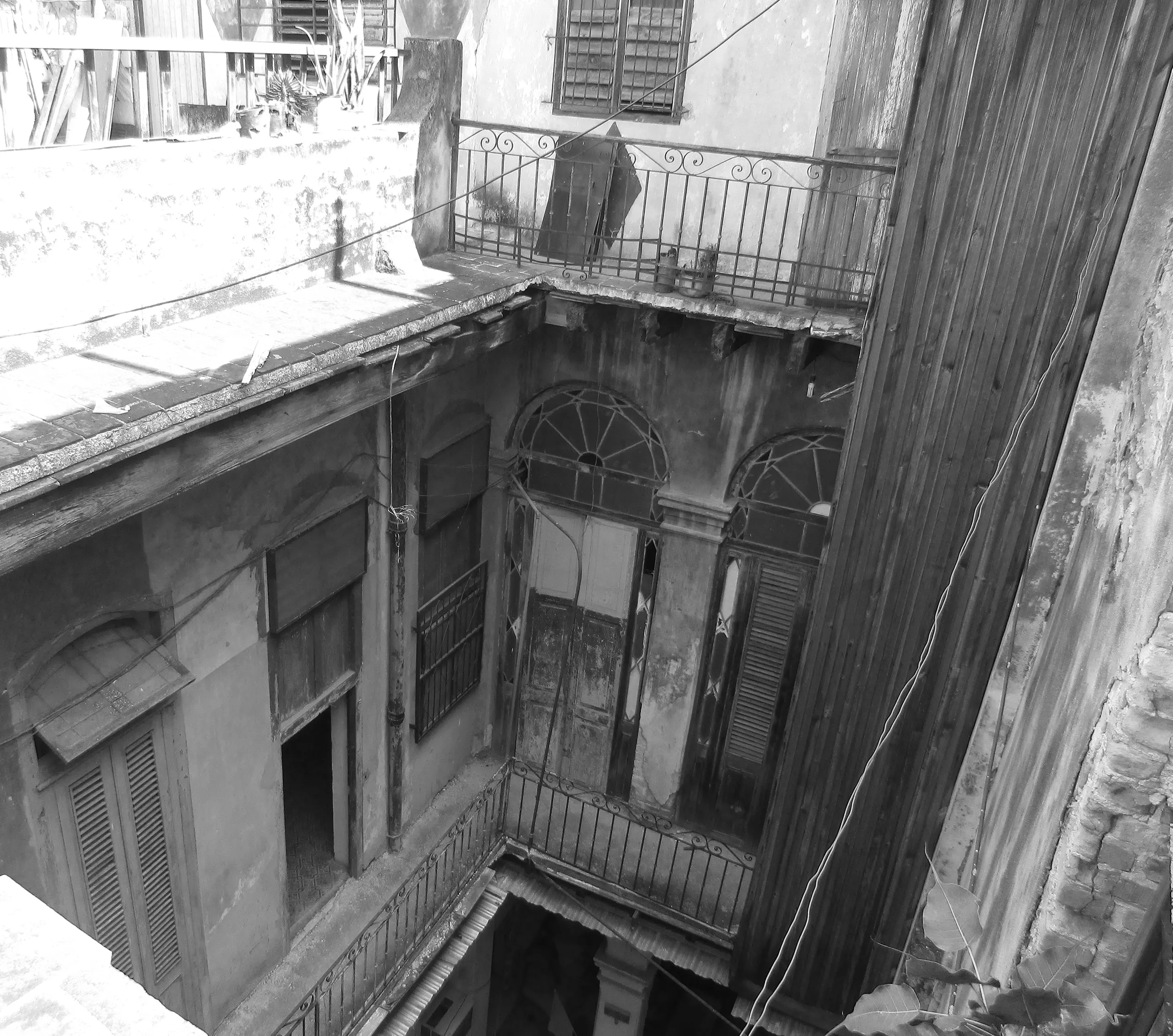 ELVIRA, MI AMOR Photo #8